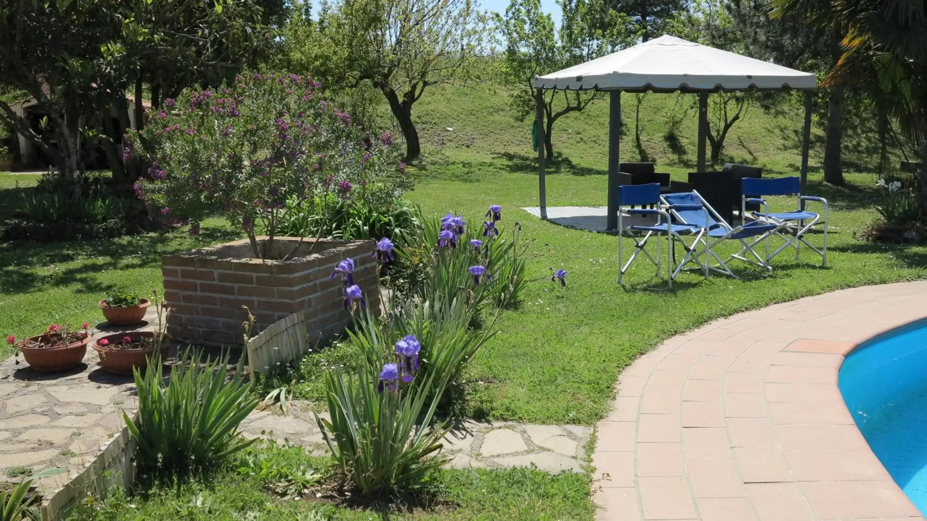 Swimming pool, Garden in BiancoCancello