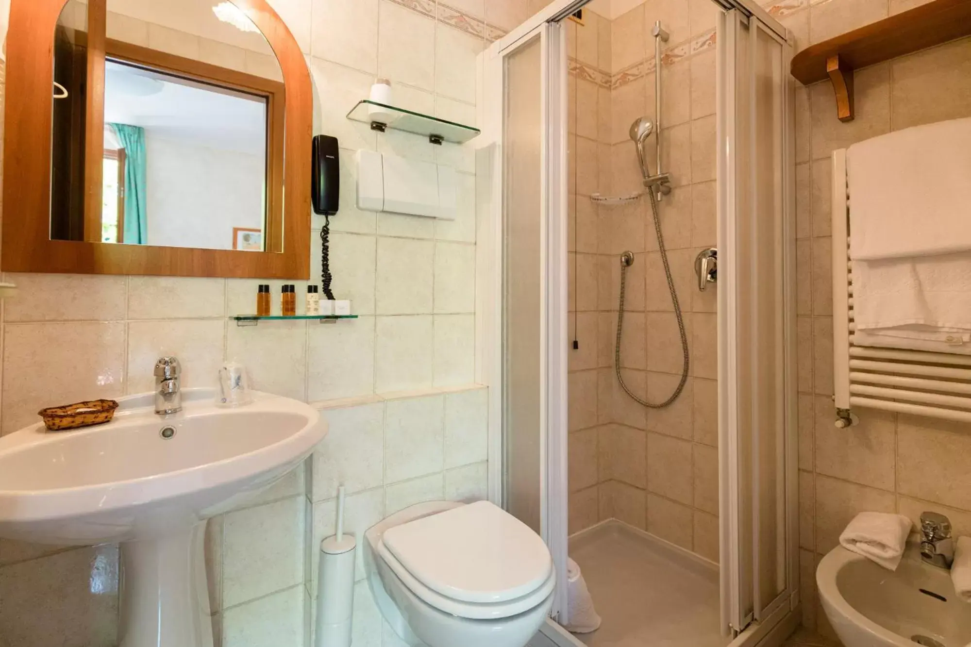 Shower, Bathroom in Hotel Corte Regina