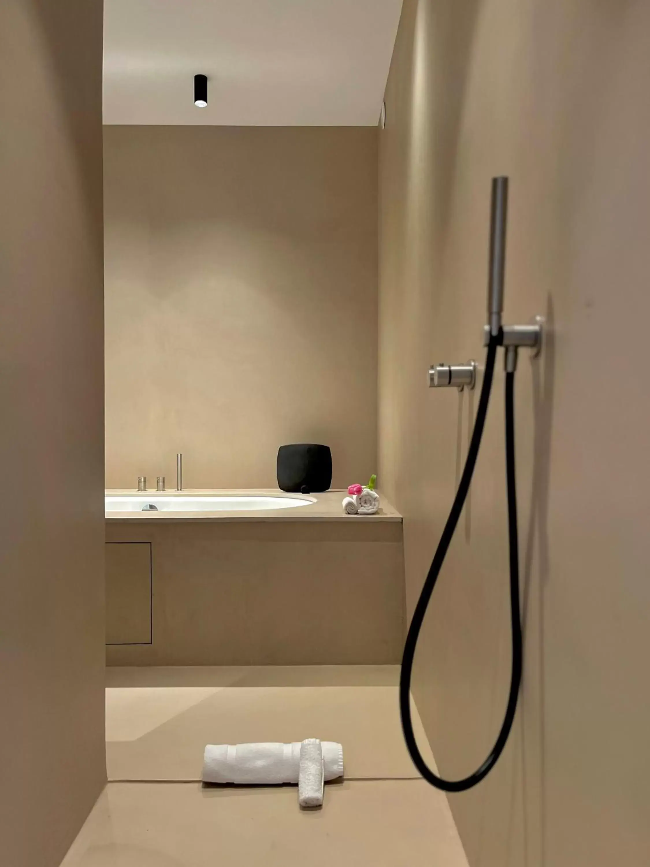 Shower, Bathroom in Toile Blanche