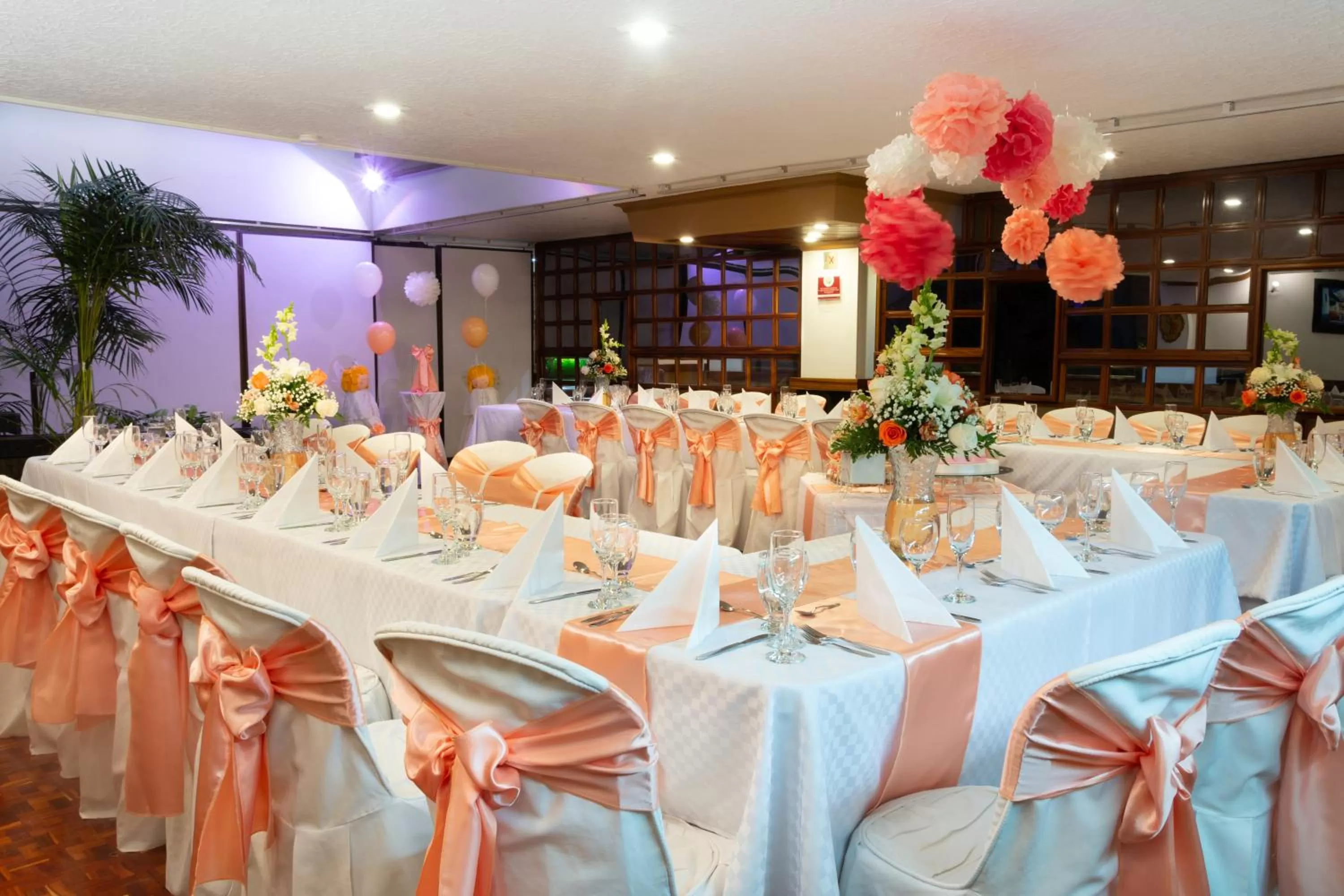 Banquet/Function facilities in Hotel Don Saul