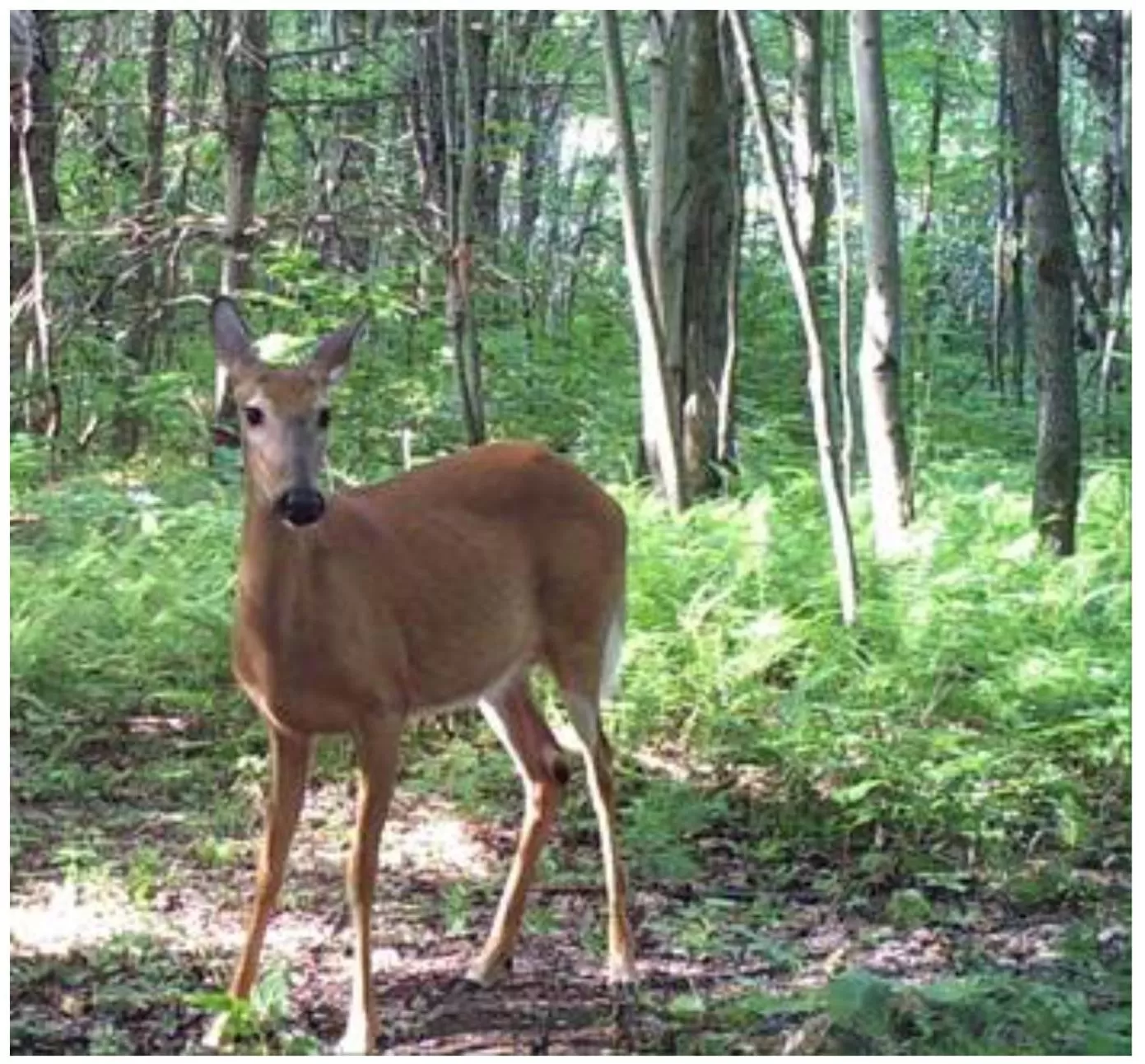 Hiking in Au Gré Du Temps - Gîte B&B