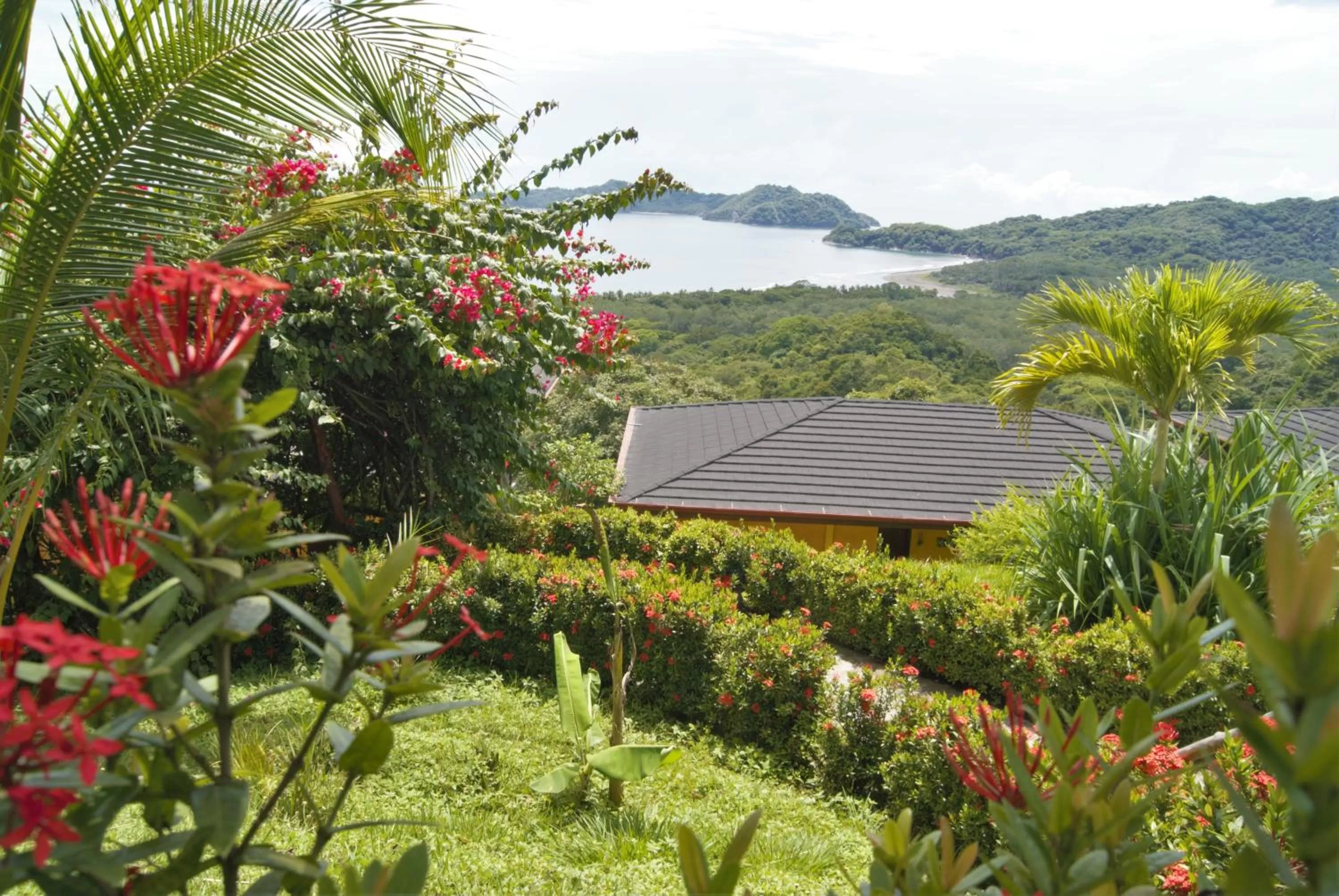 Other in Eco Boutique Hotel Vista Las Islas Reserva Natural