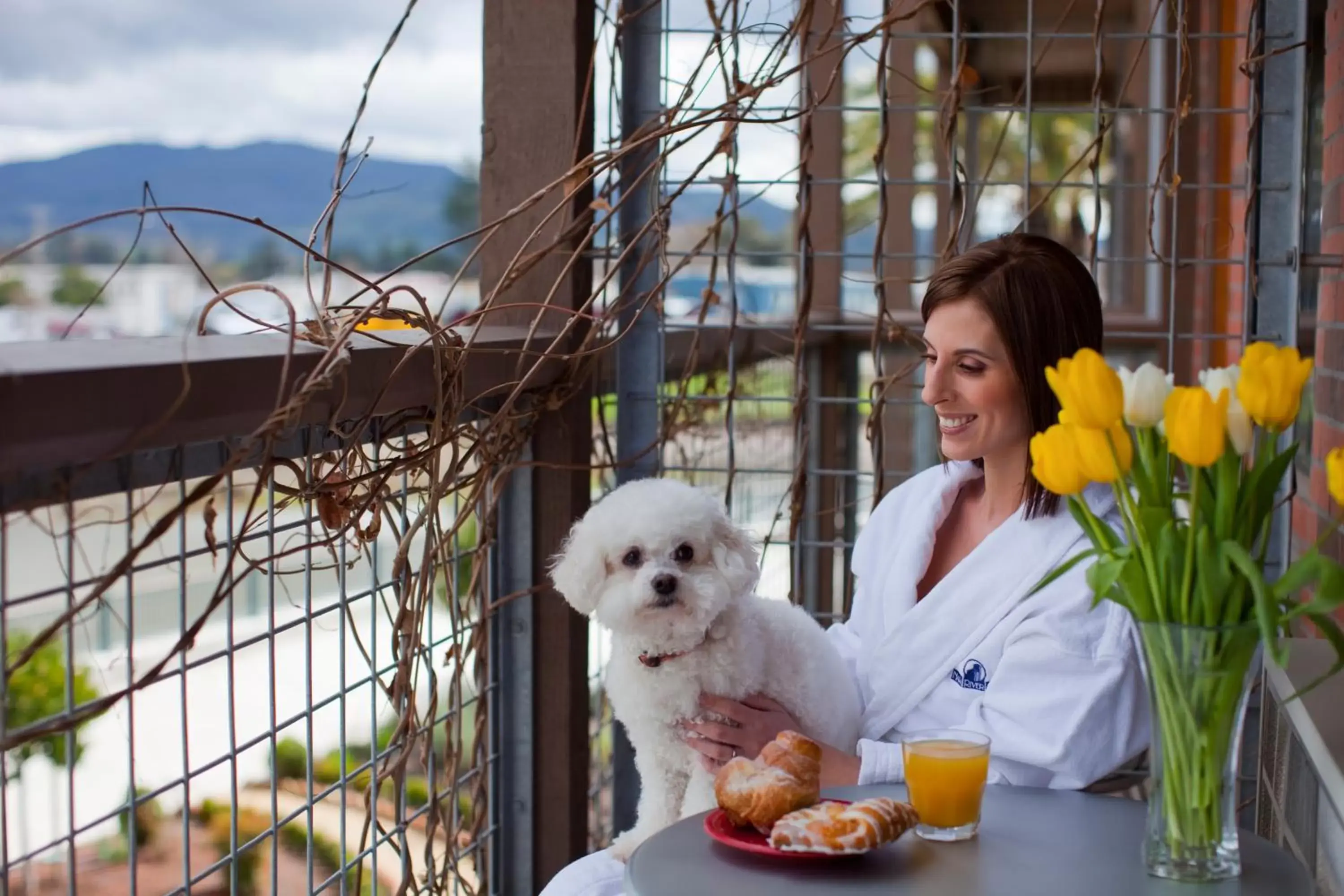 People, Pets in Napa River Inn