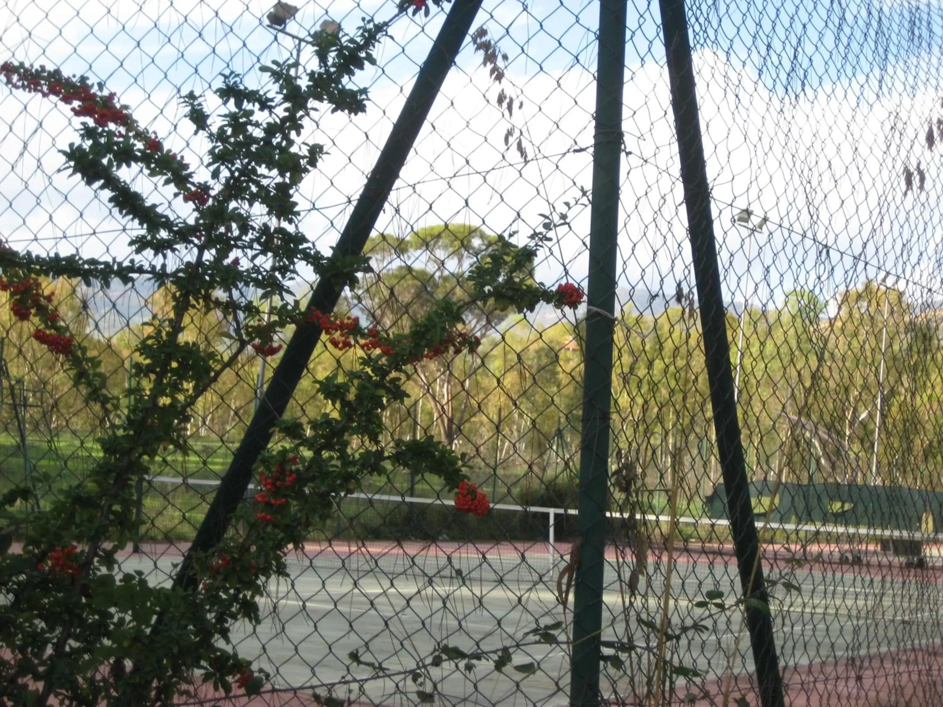 Tennis court, View in Oasi del Lago