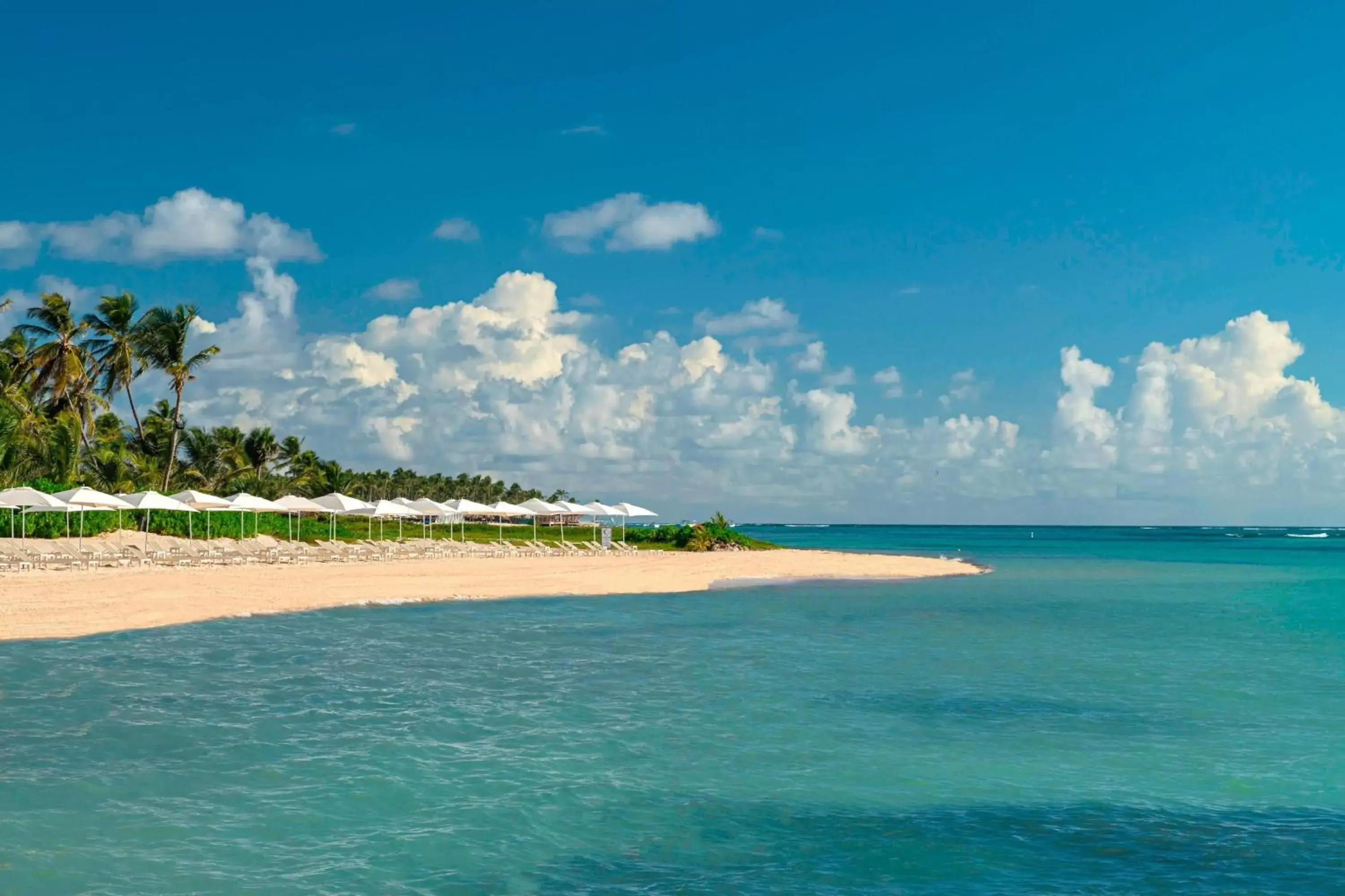 Beach in The Westin Puntacana Resort & Club