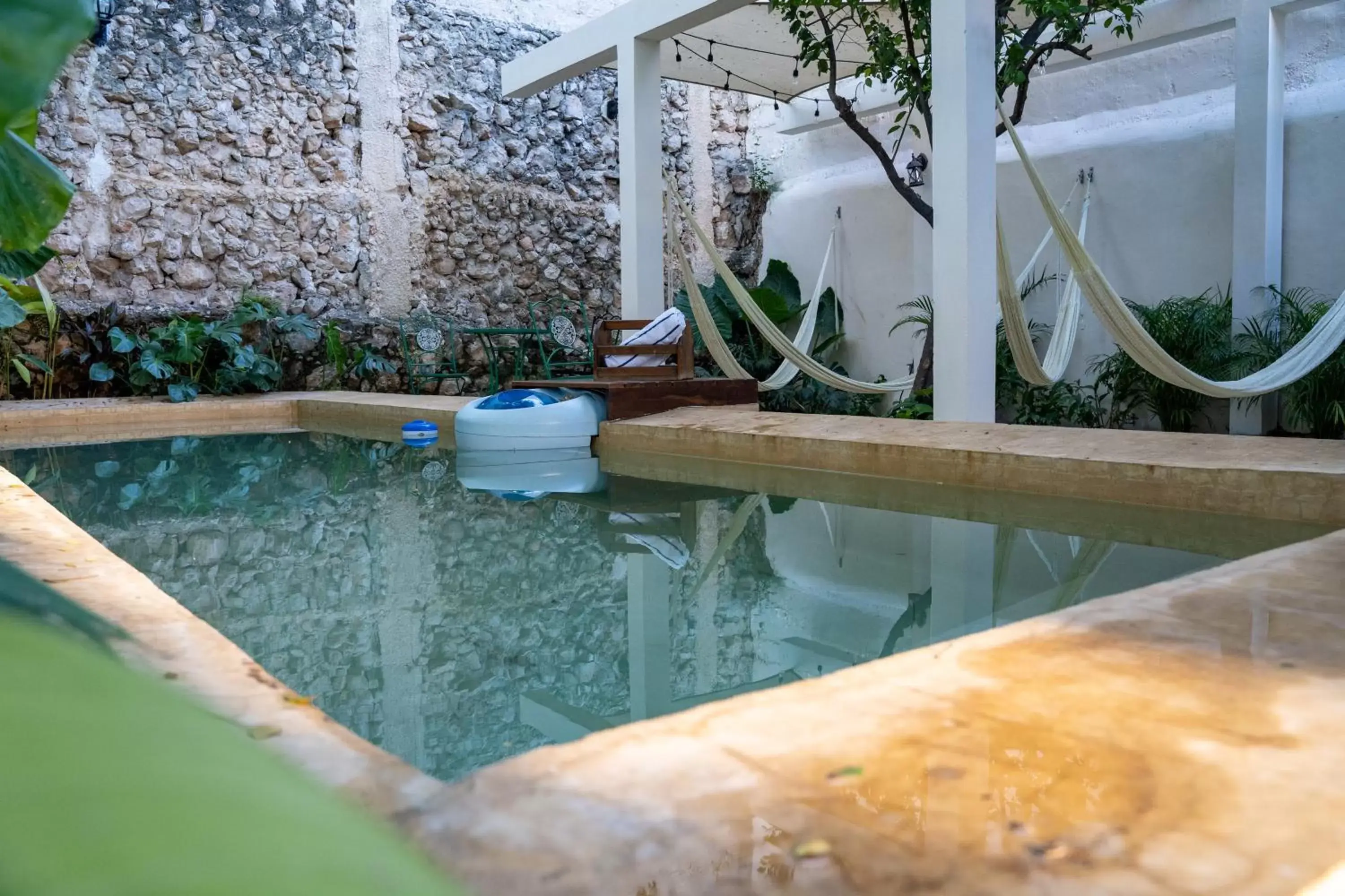 Garden, Swimming Pool in Hotel & Hostal Boutique Casa Garza