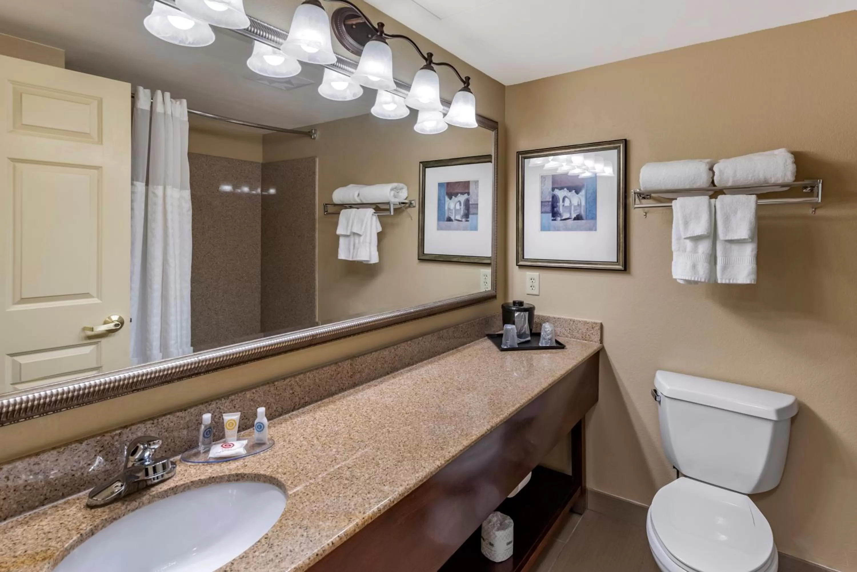 Bathroom in Comfort Inn & Suites Virginia Beach - Norfolk Airport