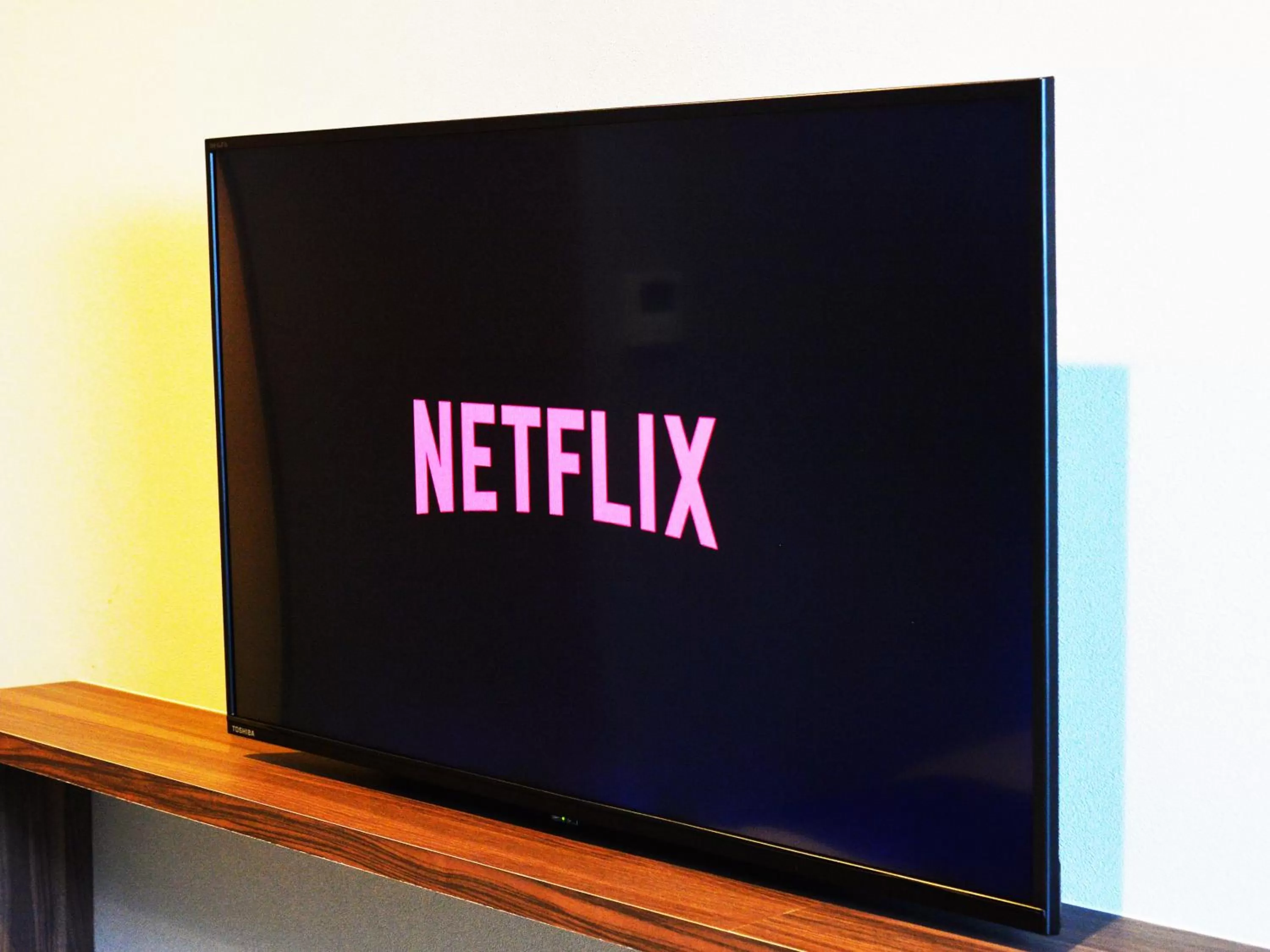 TV and multimedia in LC Goryokaku Hotel