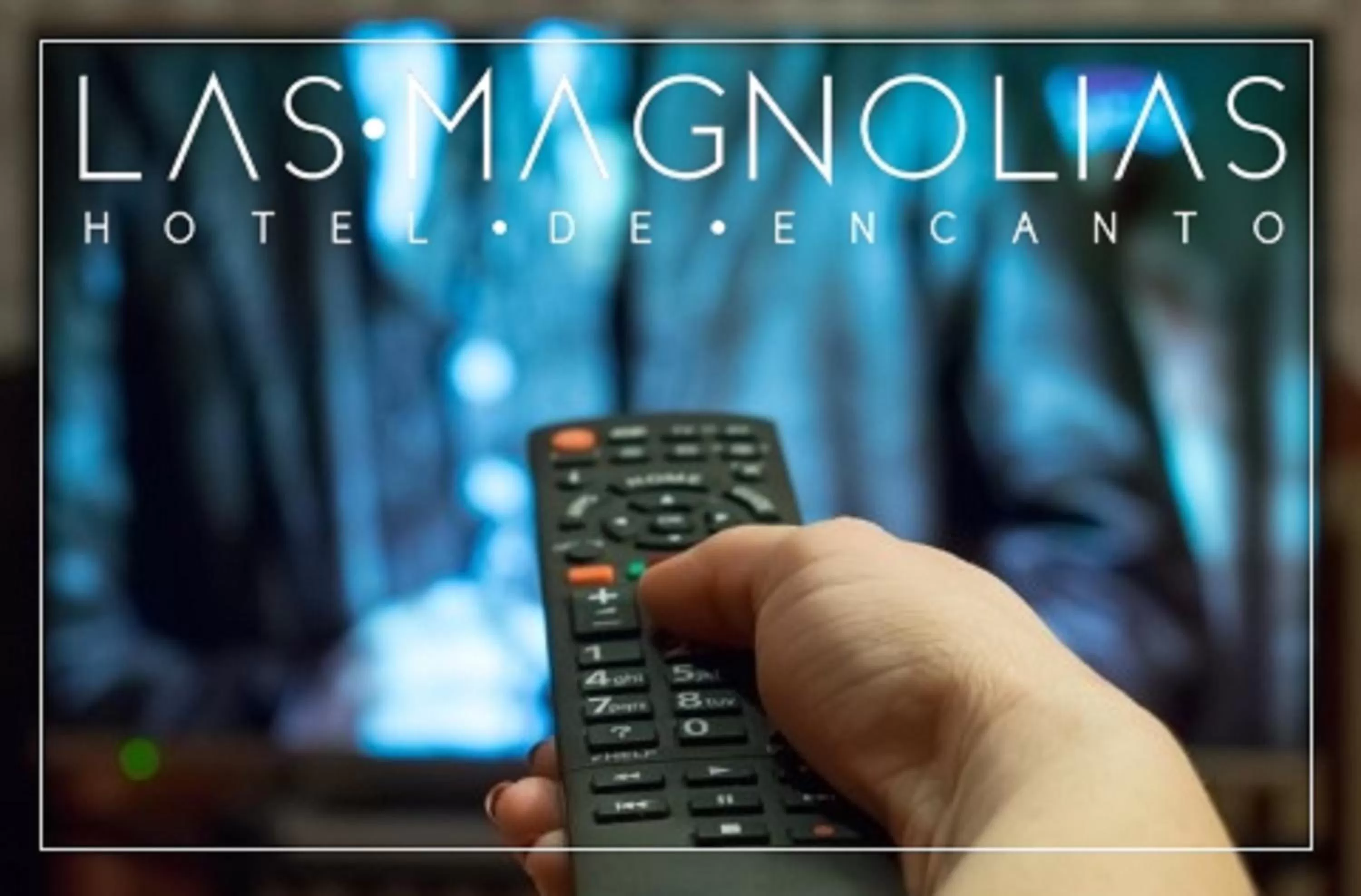 TV and multimedia in Las Magnolias Hotel Boutique