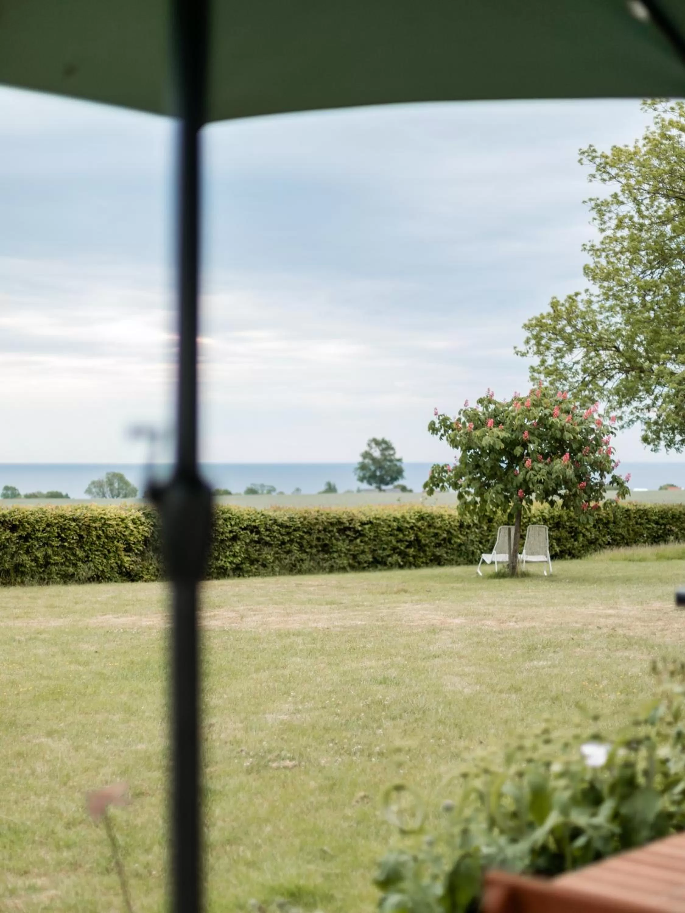 Property building in Sköllengården