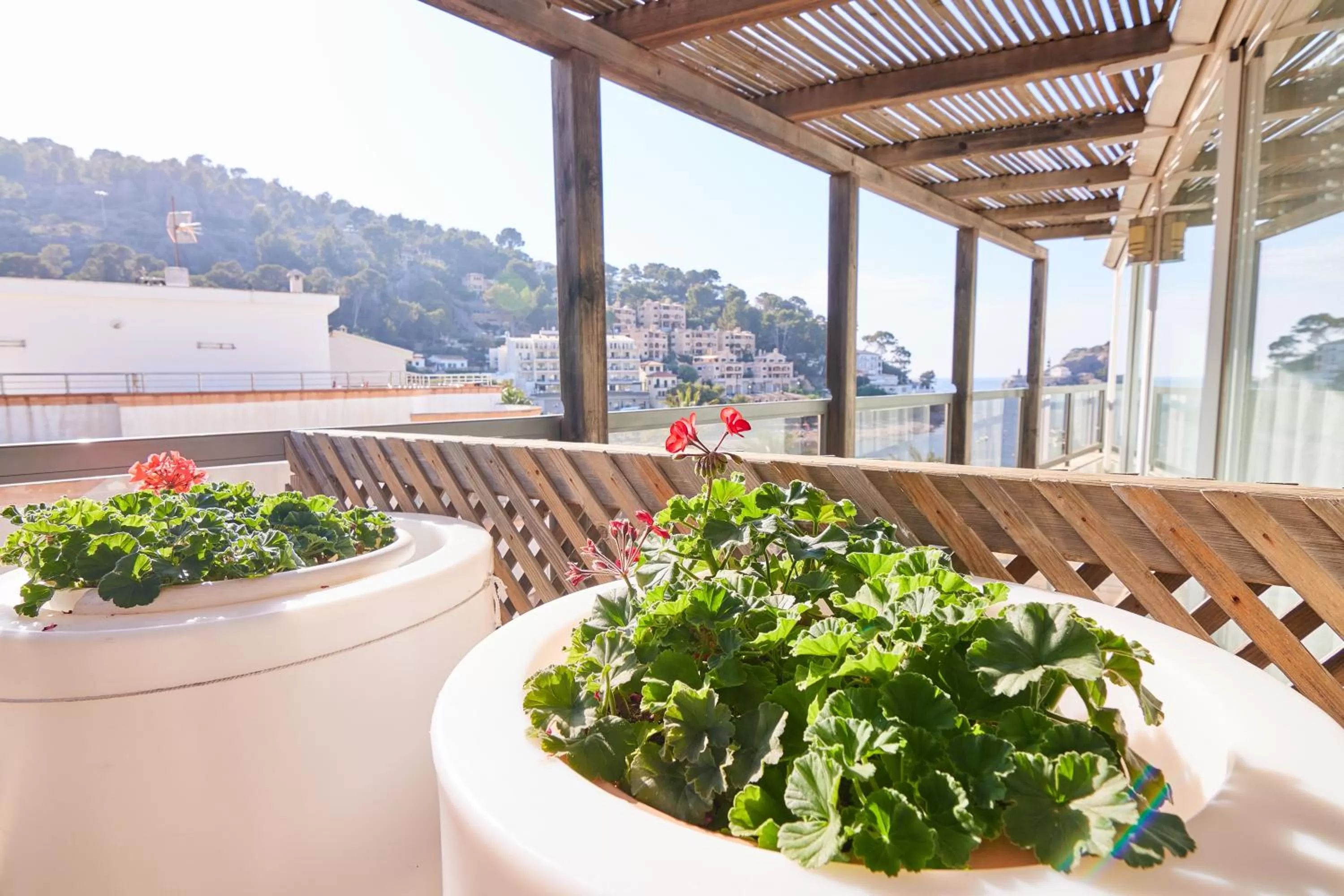 Natural landscape in Los Geranios