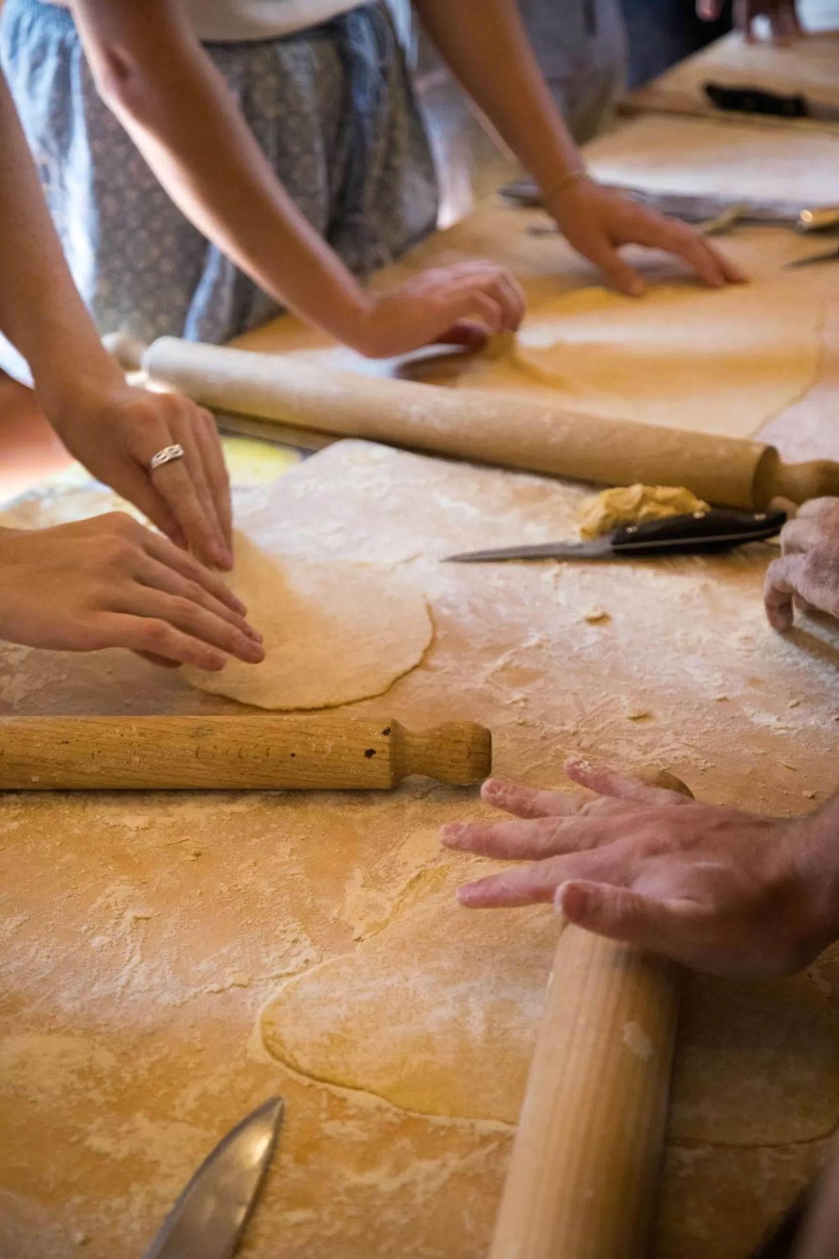 Activities in Terre di Baccio