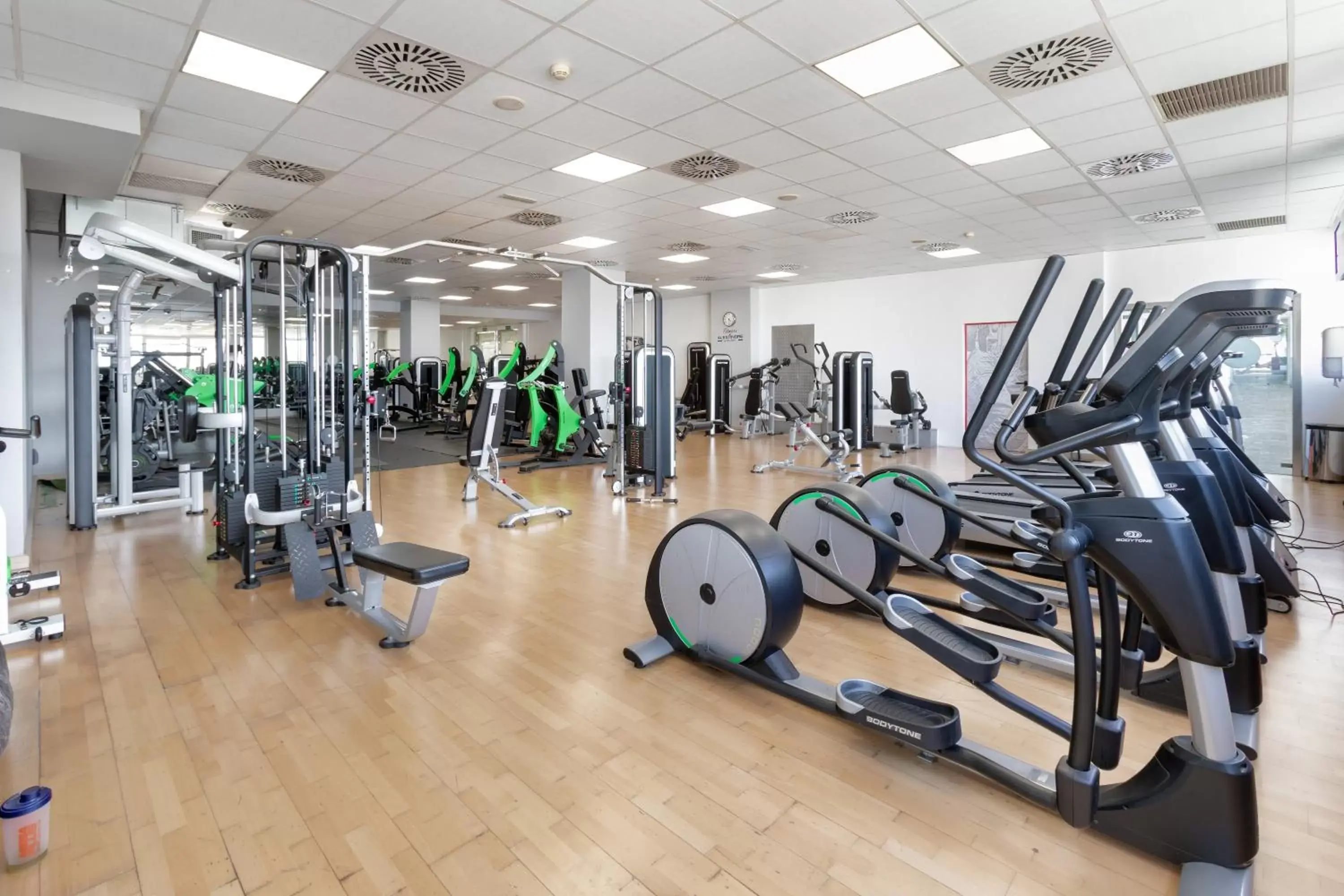 Fitness centre/facilities, Fitness Center/Facilities in Alexandre Hotel Frontair Congress