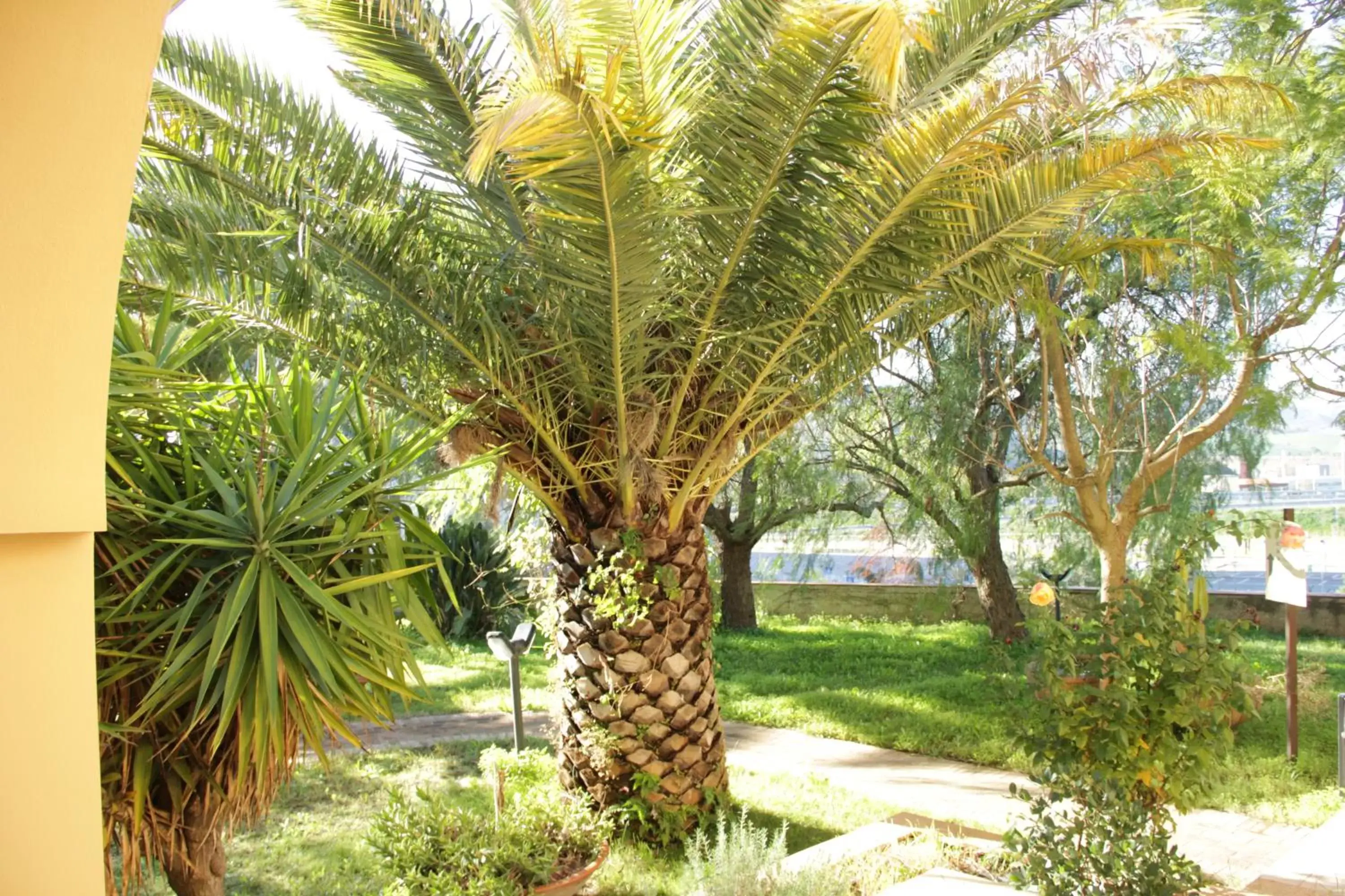 Garden in San Michele Apartments&Rooms