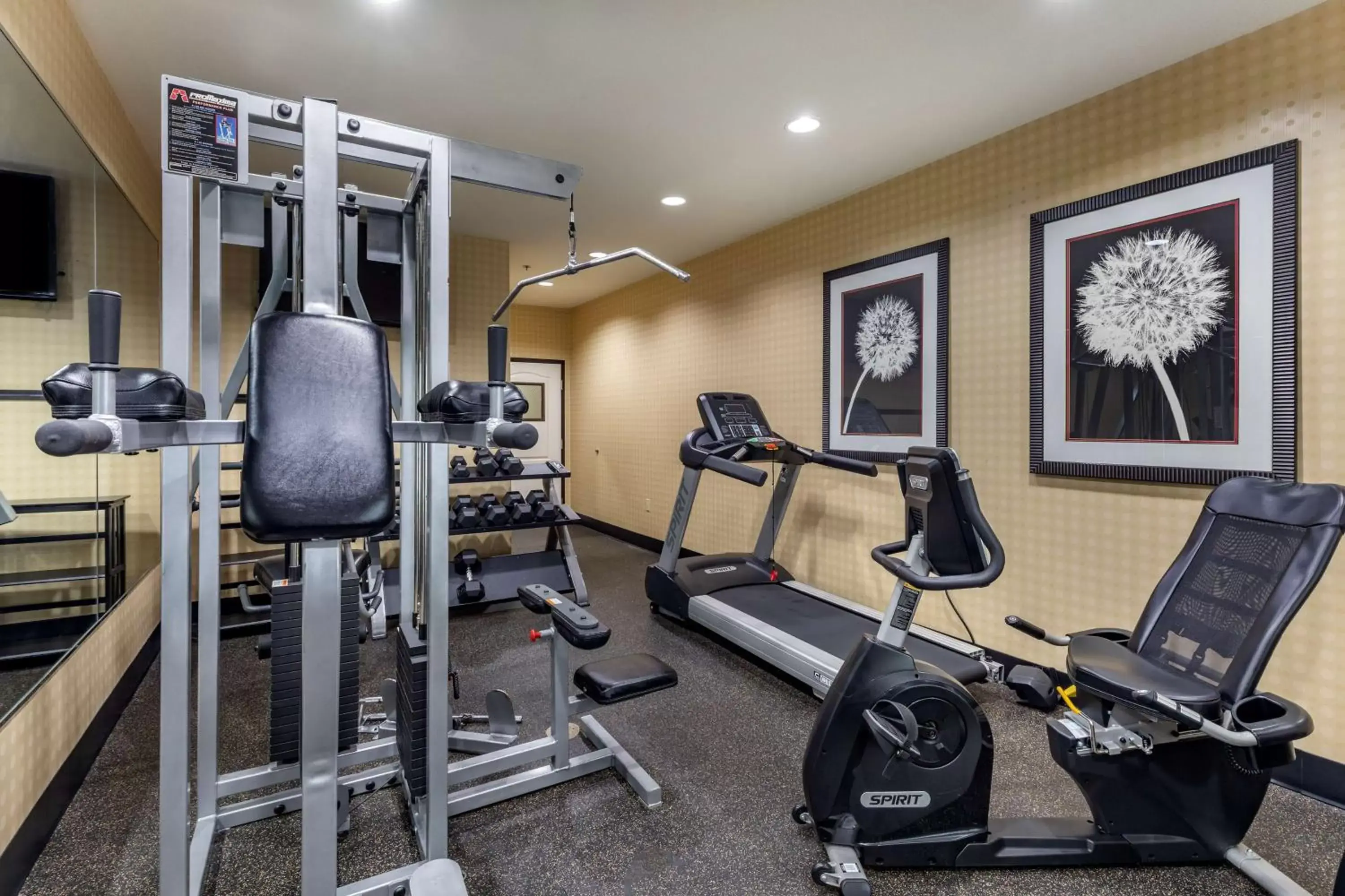Spa and wellness centre/facilities, Fitness Center/Facilities in Best Western Plus DFW Airport West Euless