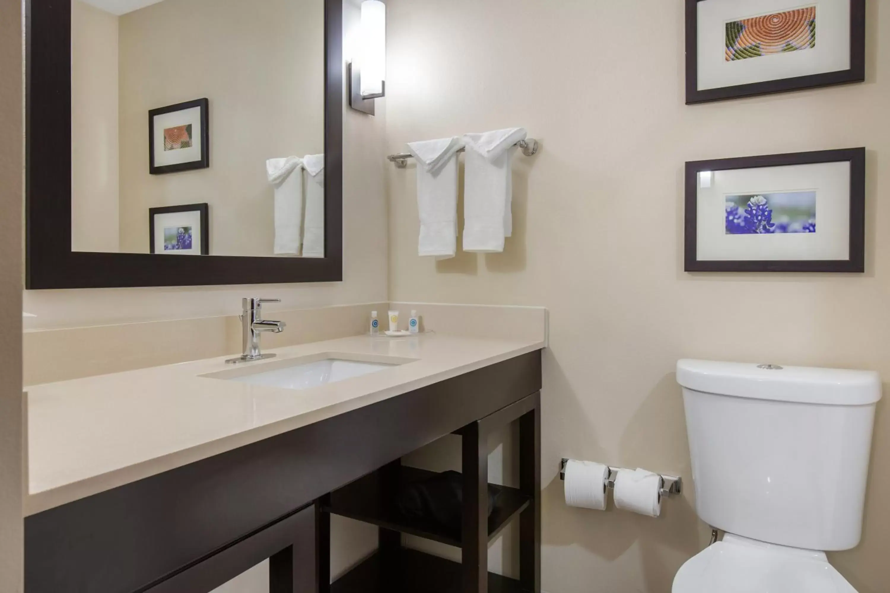 Bathroom in Comfort Suites - South Austin