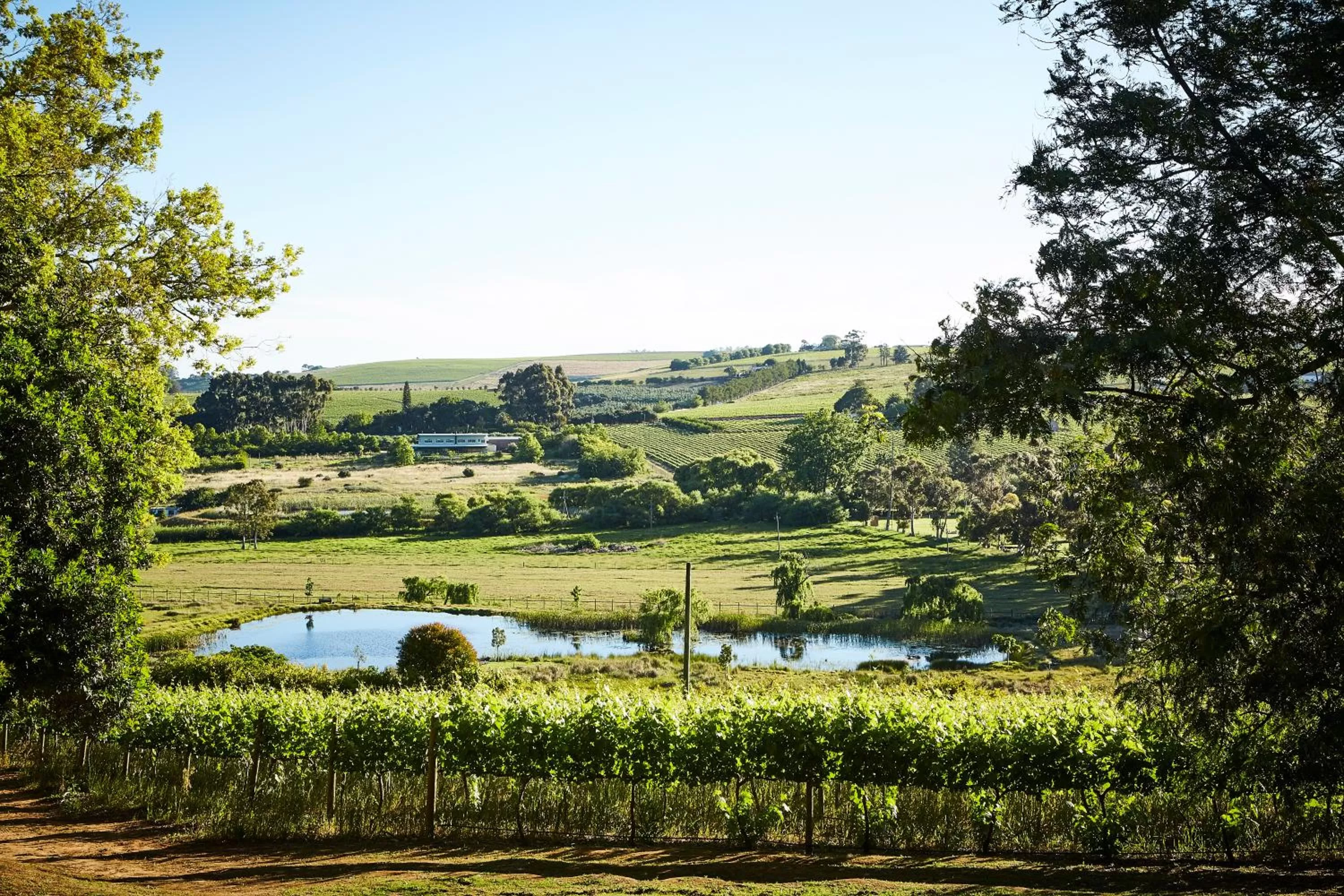 Mountain view in The Devon Valley Hotel
