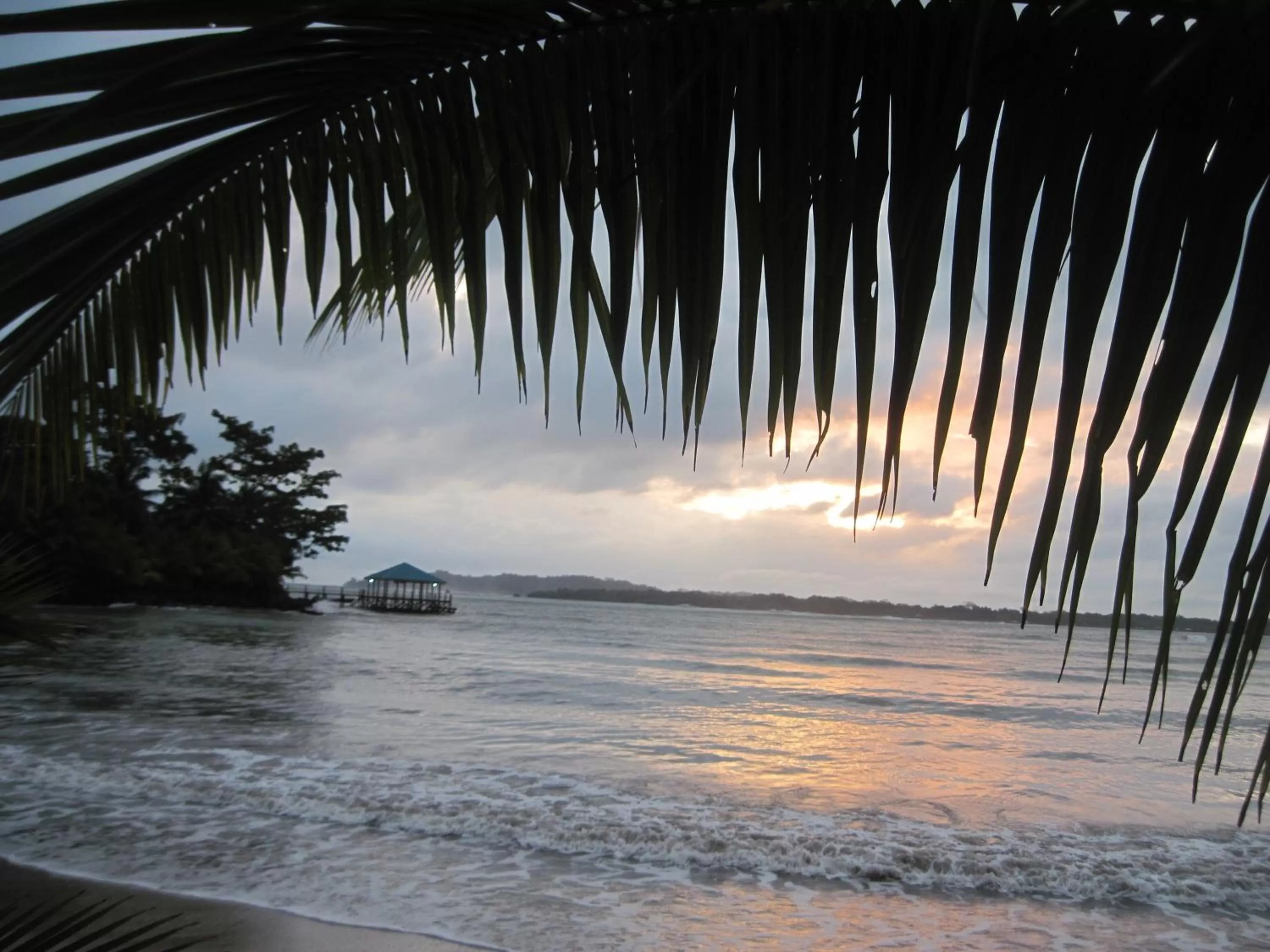 Natural landscape in Sand Dollar Beach Bed & Breakfast