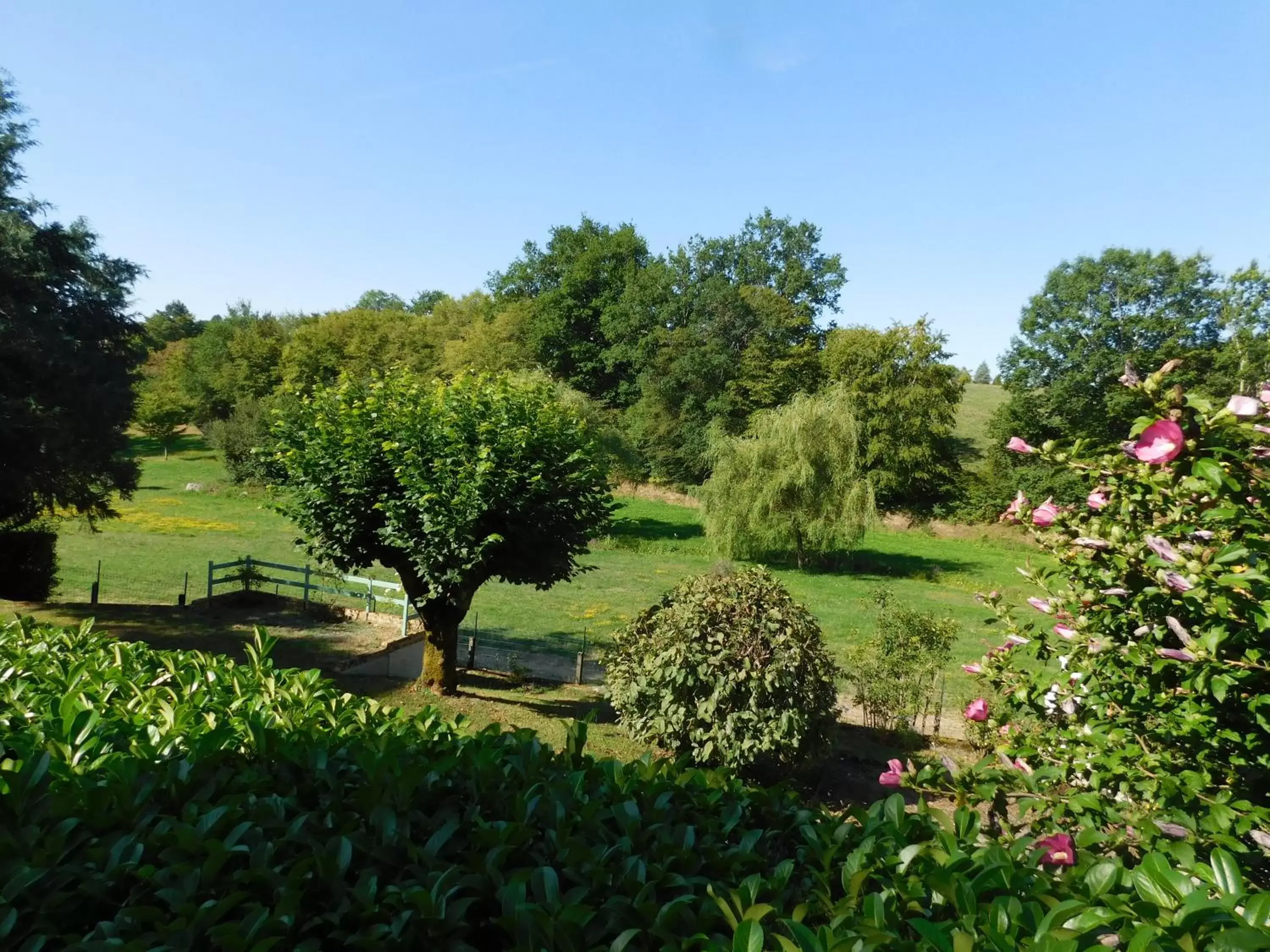 On site, Garden in Du coq à l'âme