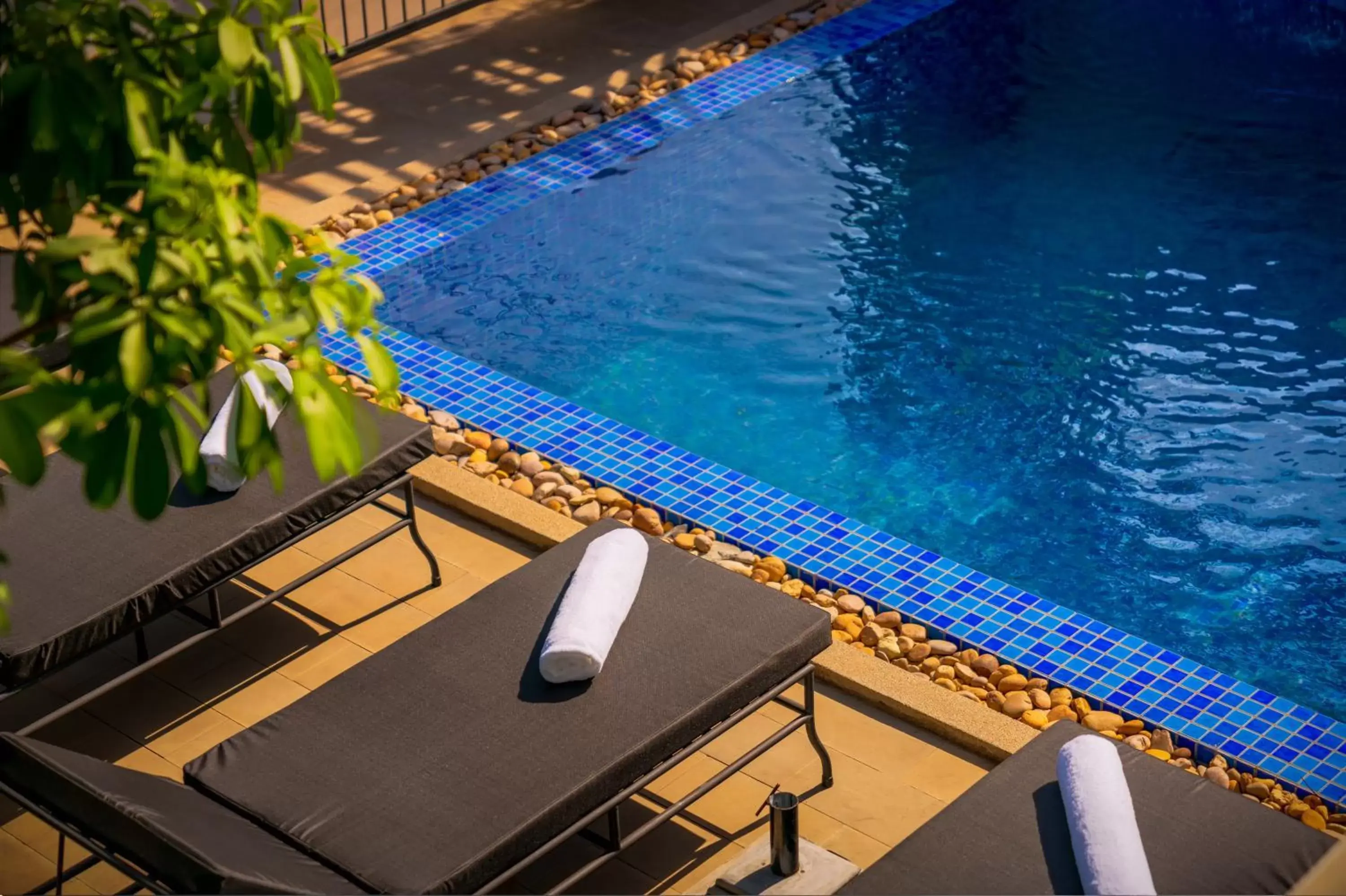 Swimming pool in Blanc Smith Residence Swimming pool in Blanc Smith Residence