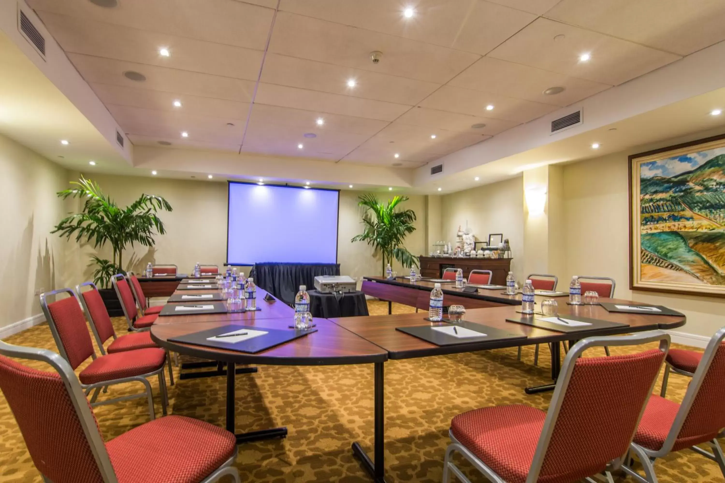 Meeting/conference room in Hilton Rose Hall Resort & Spa