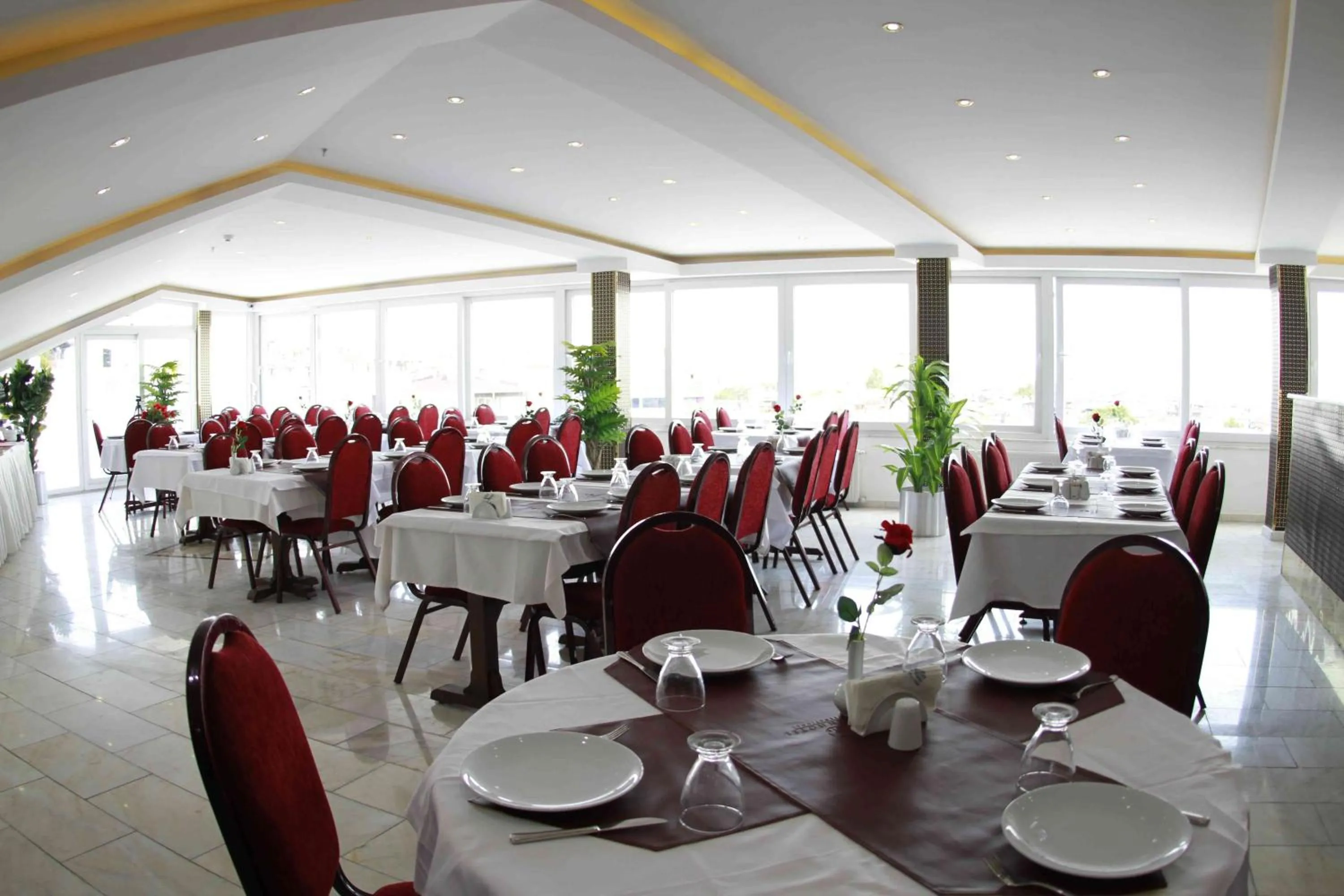 Restaurant/places to eat in Kuran Hotel International