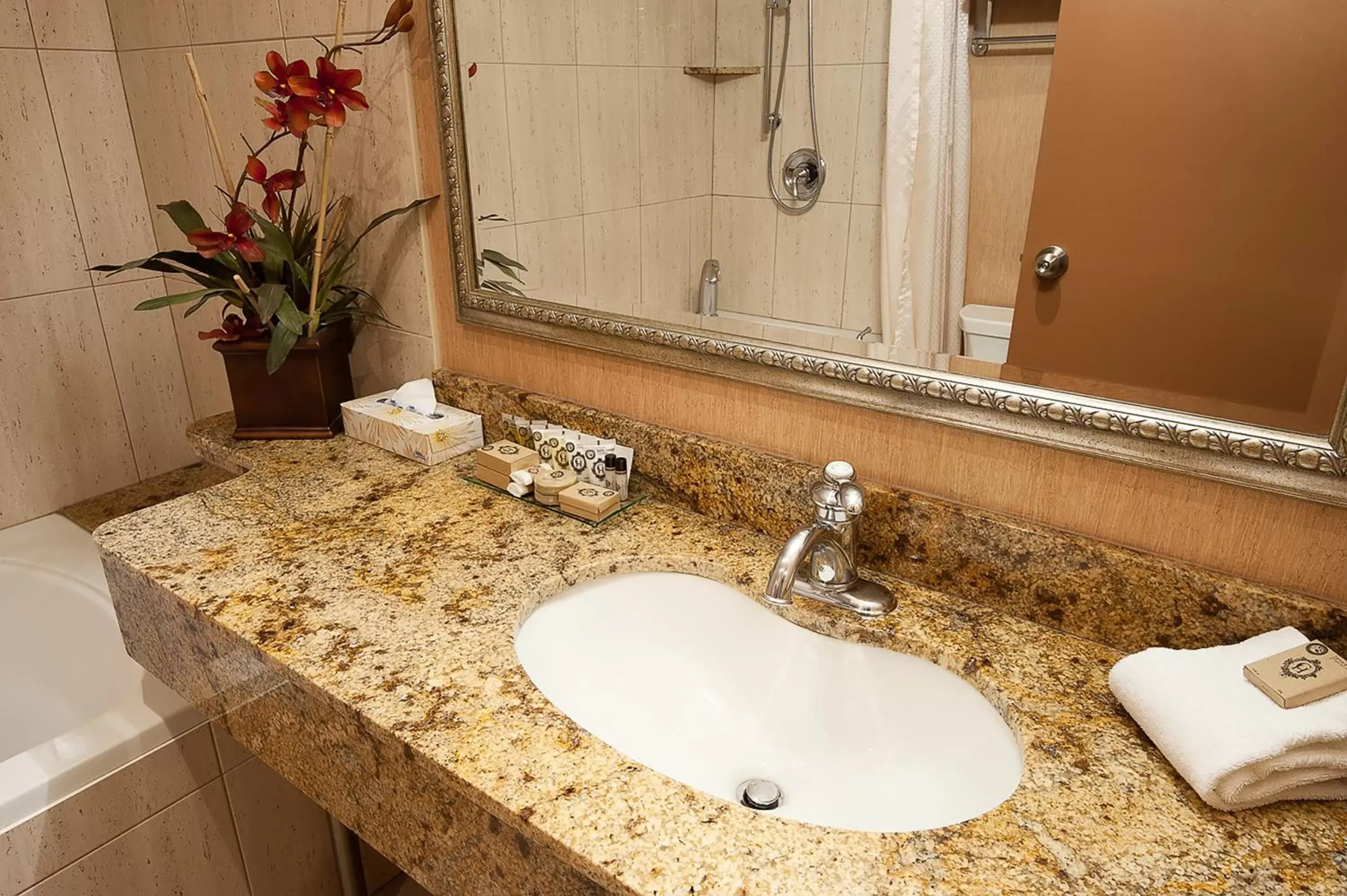 Bathroom in Carriage House Hotel and Conference Centre