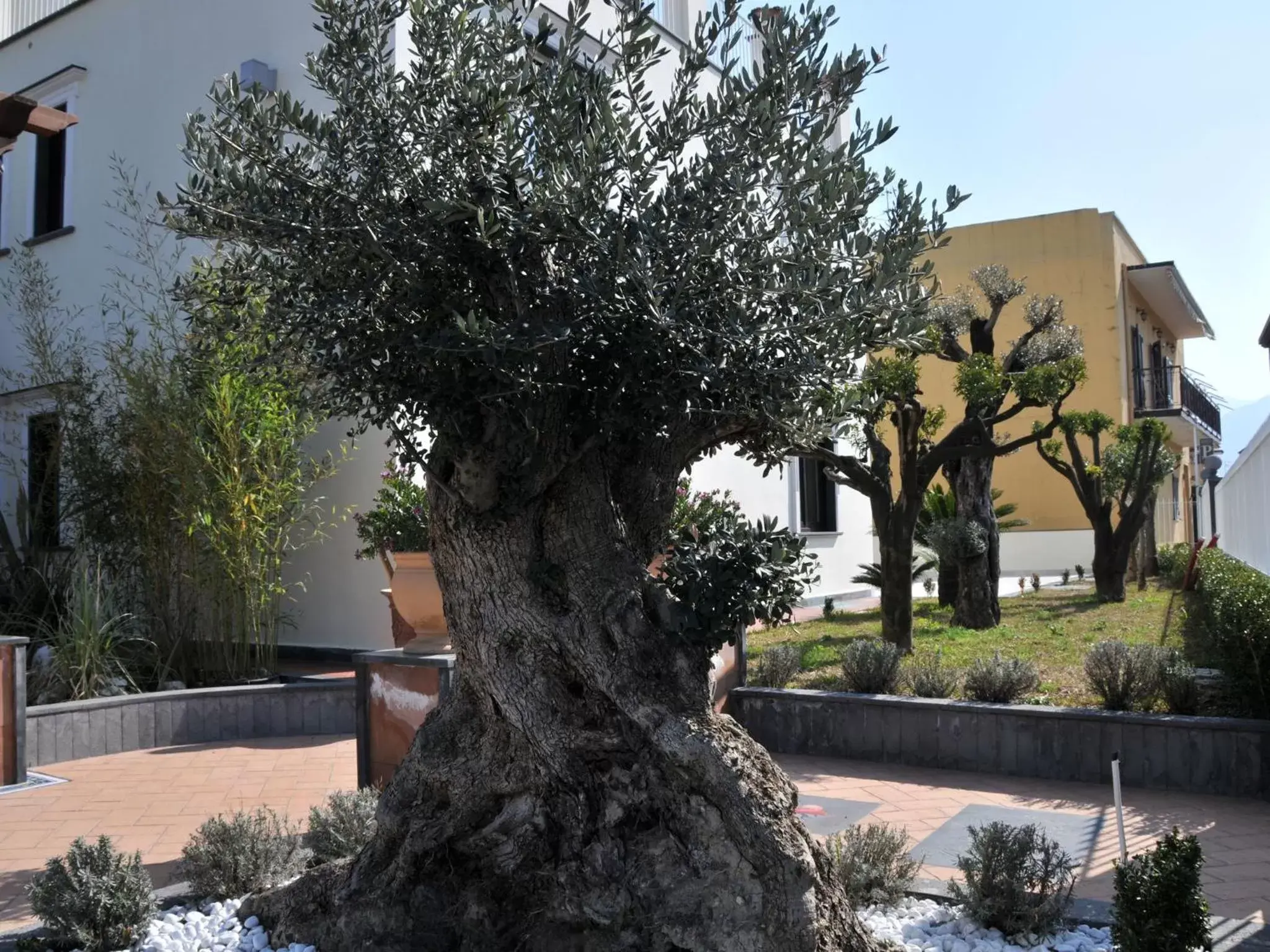 Garden, Swimming Pool in Costa Hotel