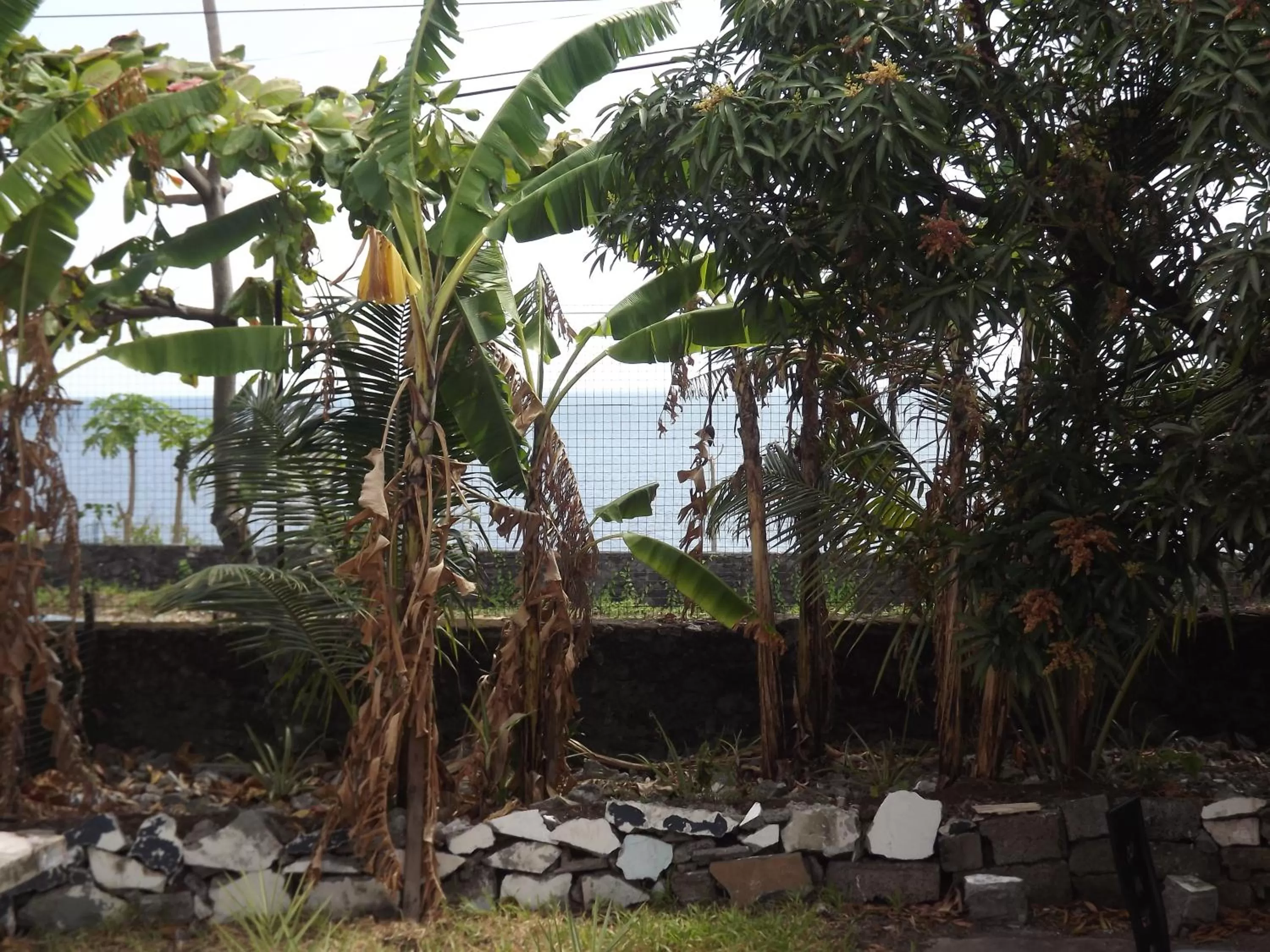 Sea view in Hôtel La Grillade