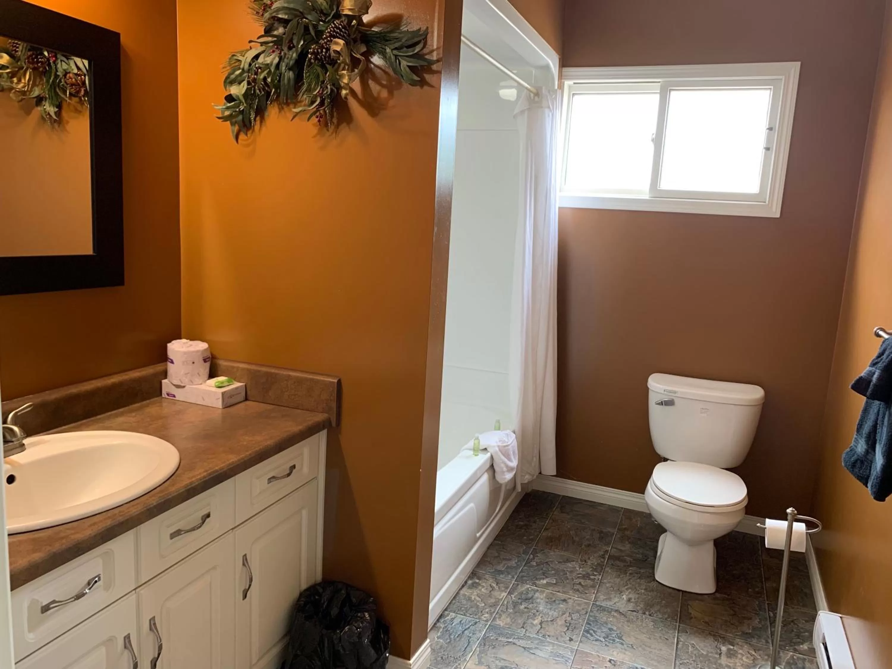 Bathroom in Dauphin Inn Express