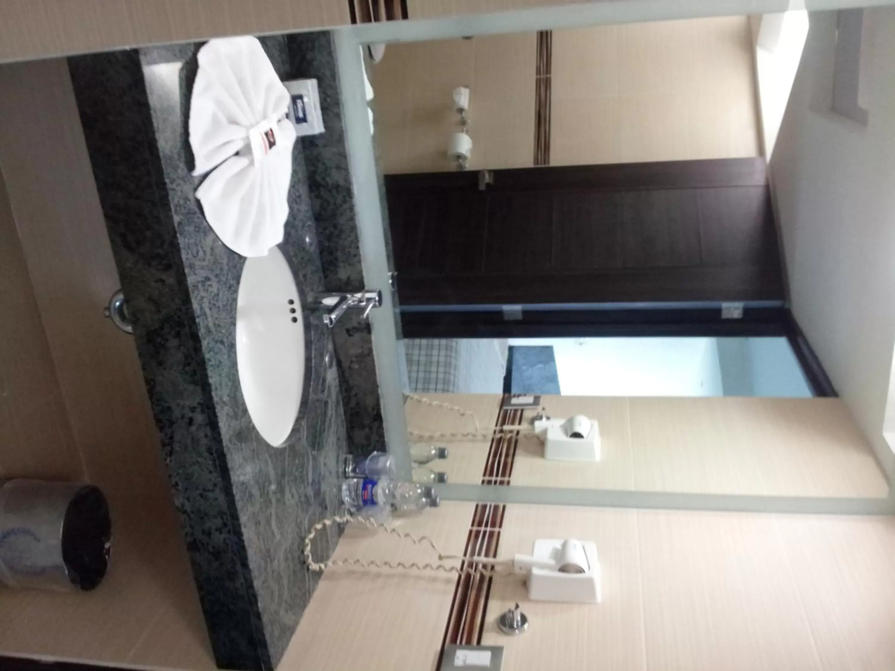 Bathroom in Hotel Astor