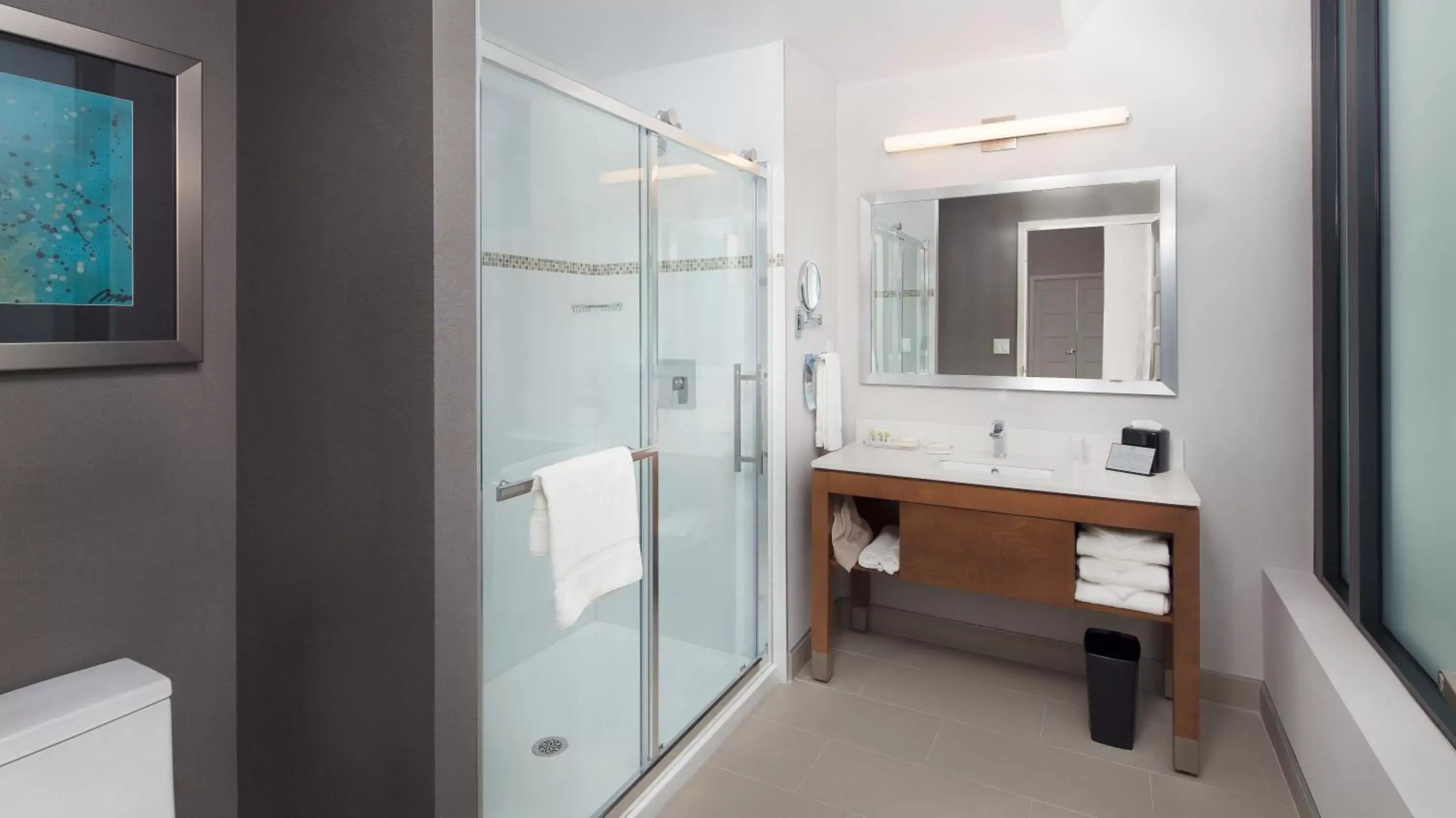 Shower, Bathroom in Holiday Inn Hotel & Suites - Montreal Centre-ville Ouest, an IHG Hotel