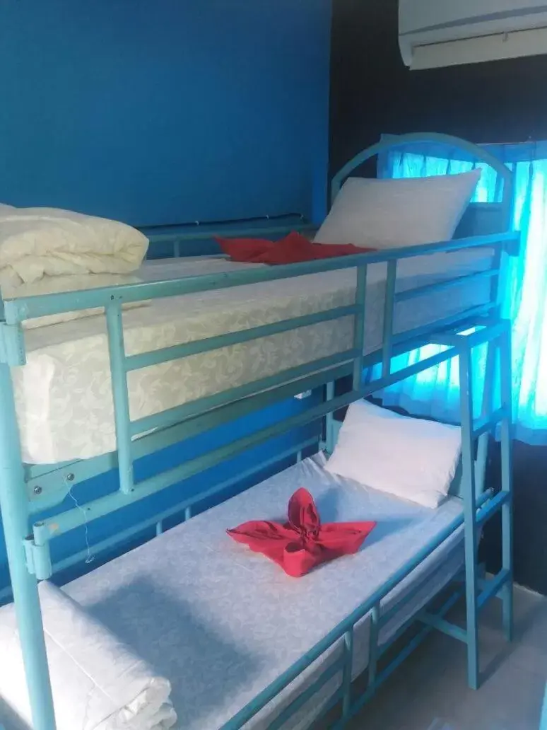 Bunk Bed in Asher Bali Transit