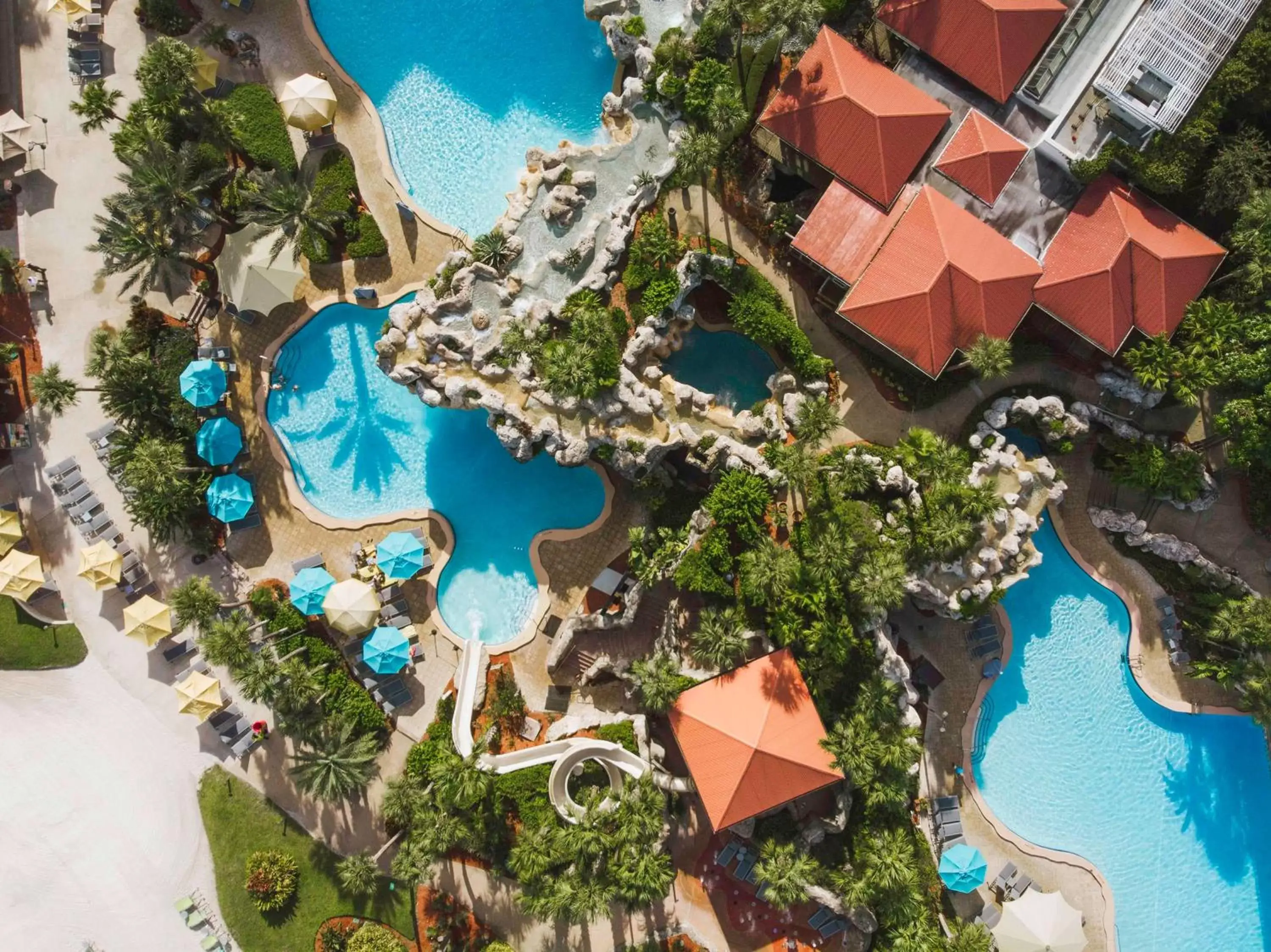 Swimming pool, Bird's-eye View in Hyatt Regency Grand Cypress Resort