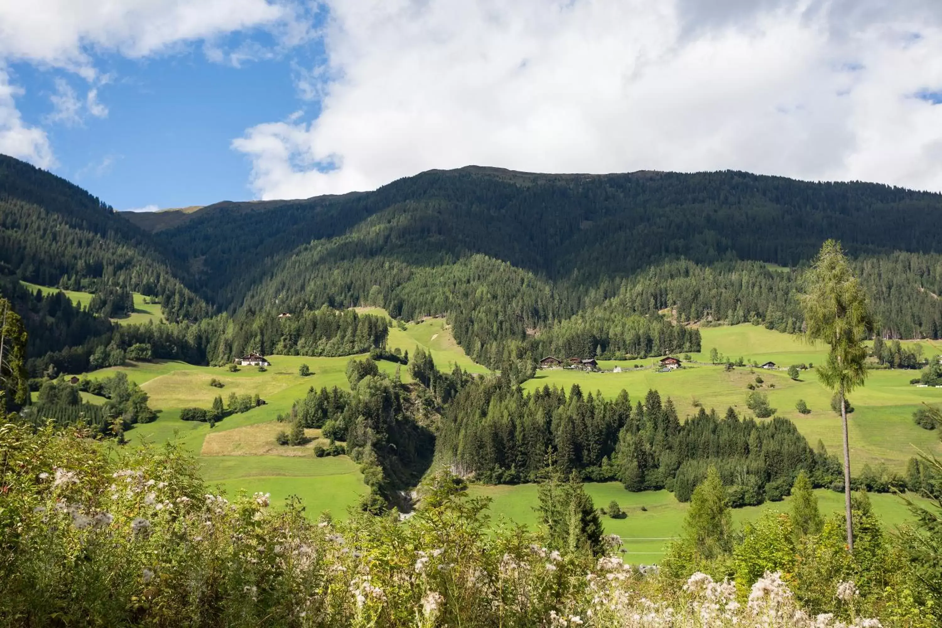 Area and facilities, Bird's-eye View in Alpenhotel Weitlanbrunn