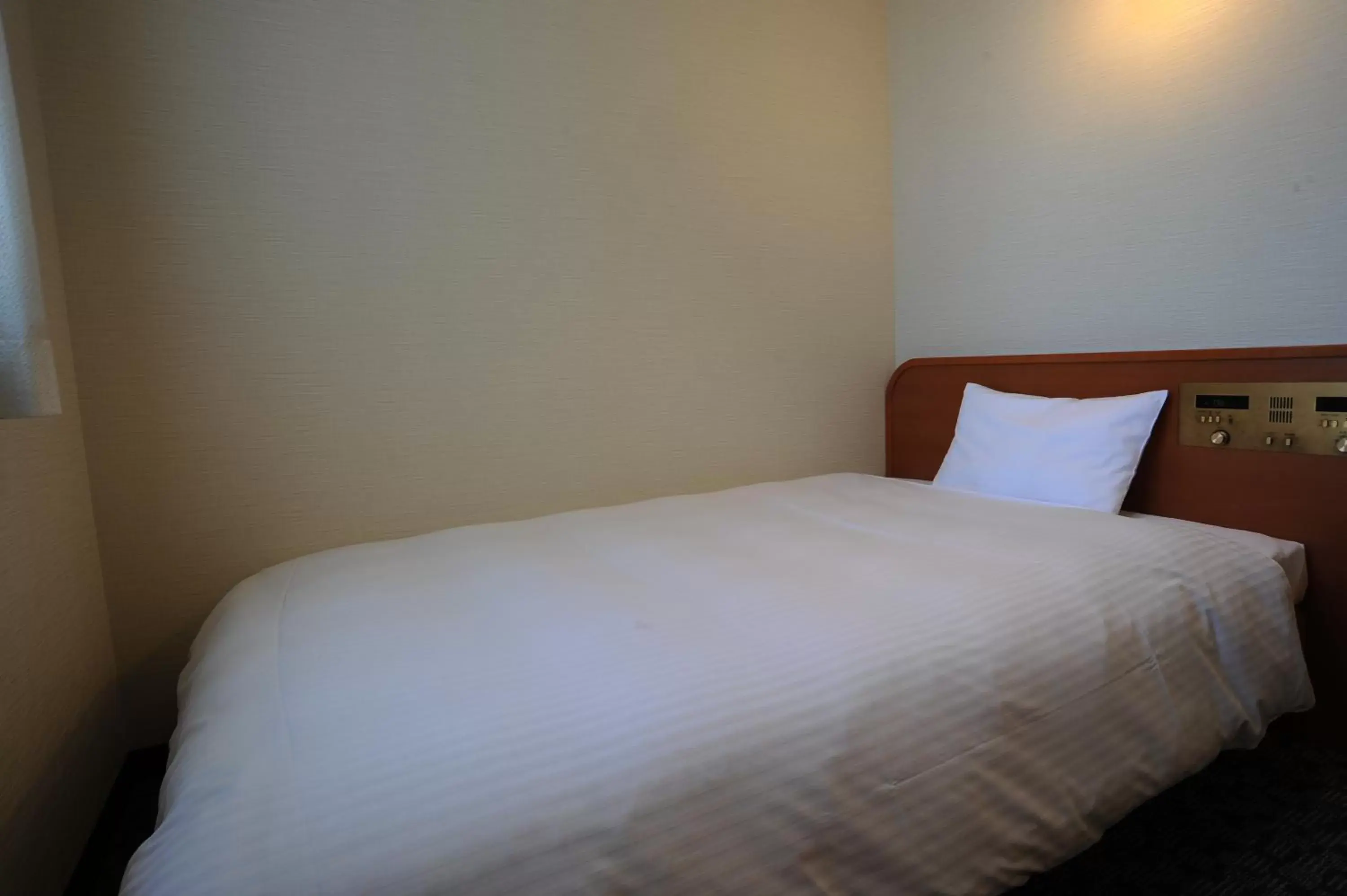 Photo of the whole room, Bed in Suizenji Comfort Hotel