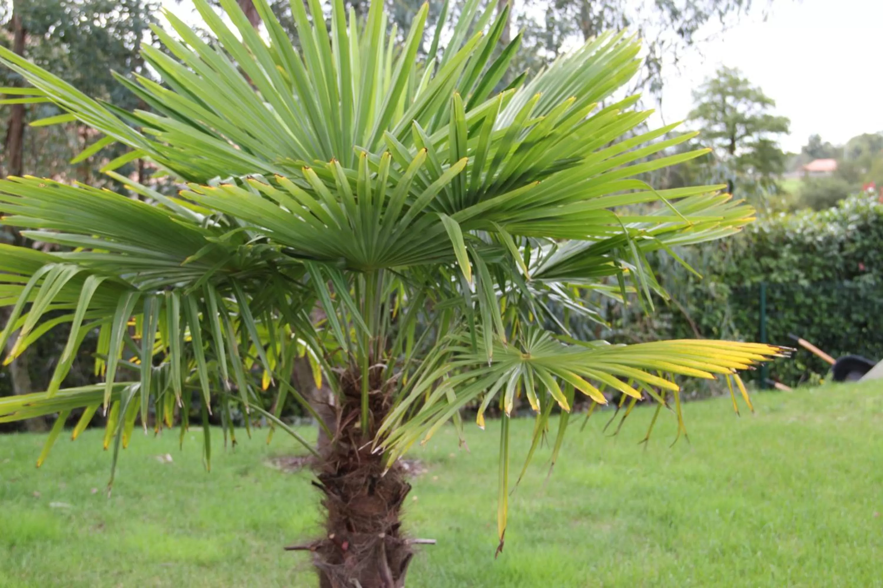 Garden in Le Temps des Hôtes