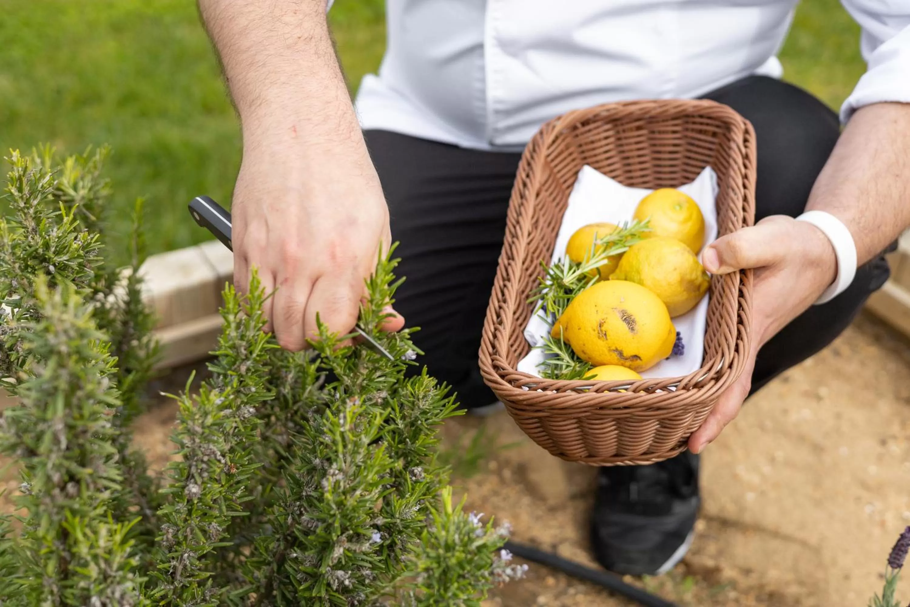 Garden in White Shell Beach Villas