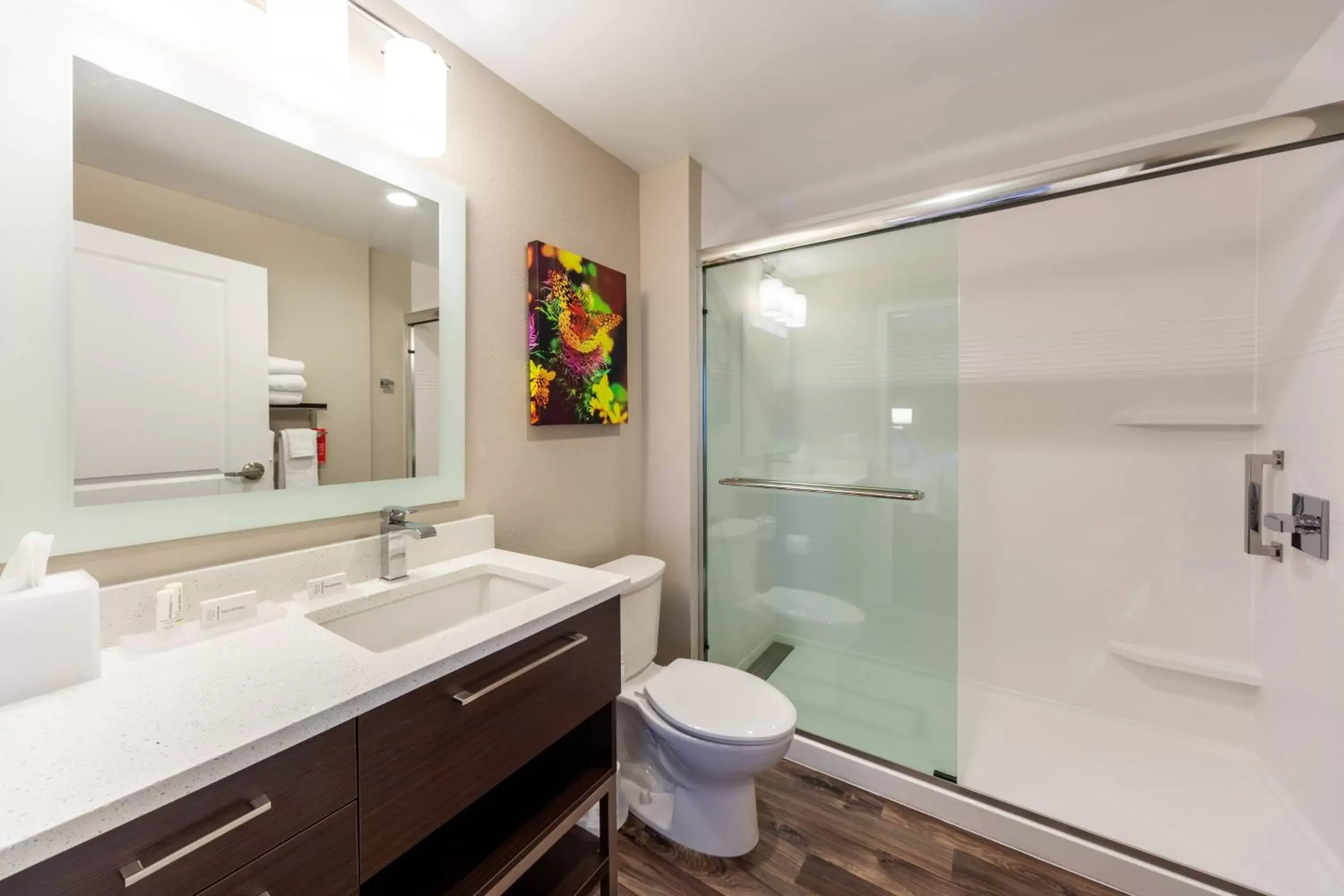 Bathroom in TownePlace Suites by Marriott Front Royal