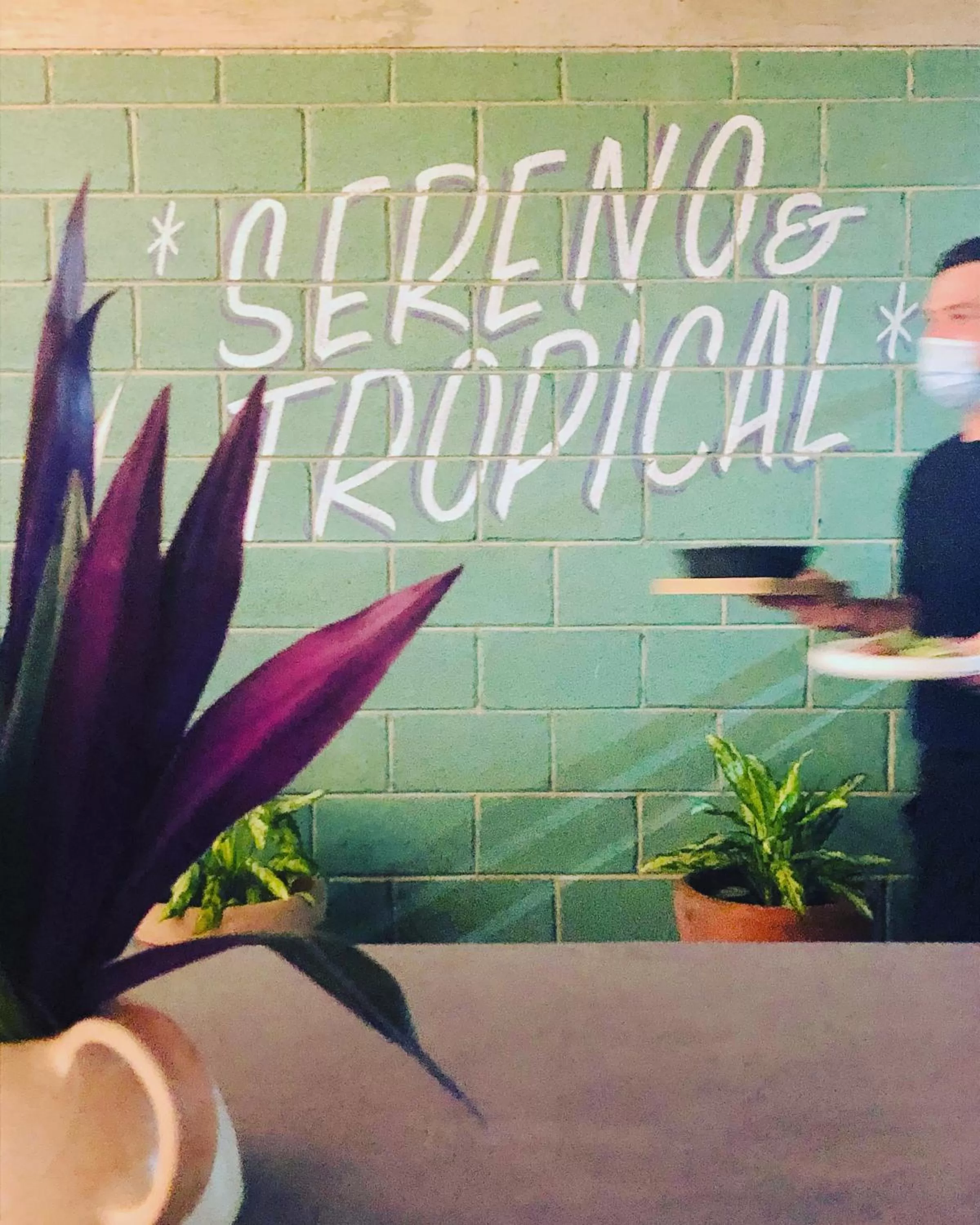 Restaurant/places to eat, Property Logo/Sign in Albatros Suites by Bedsfriends