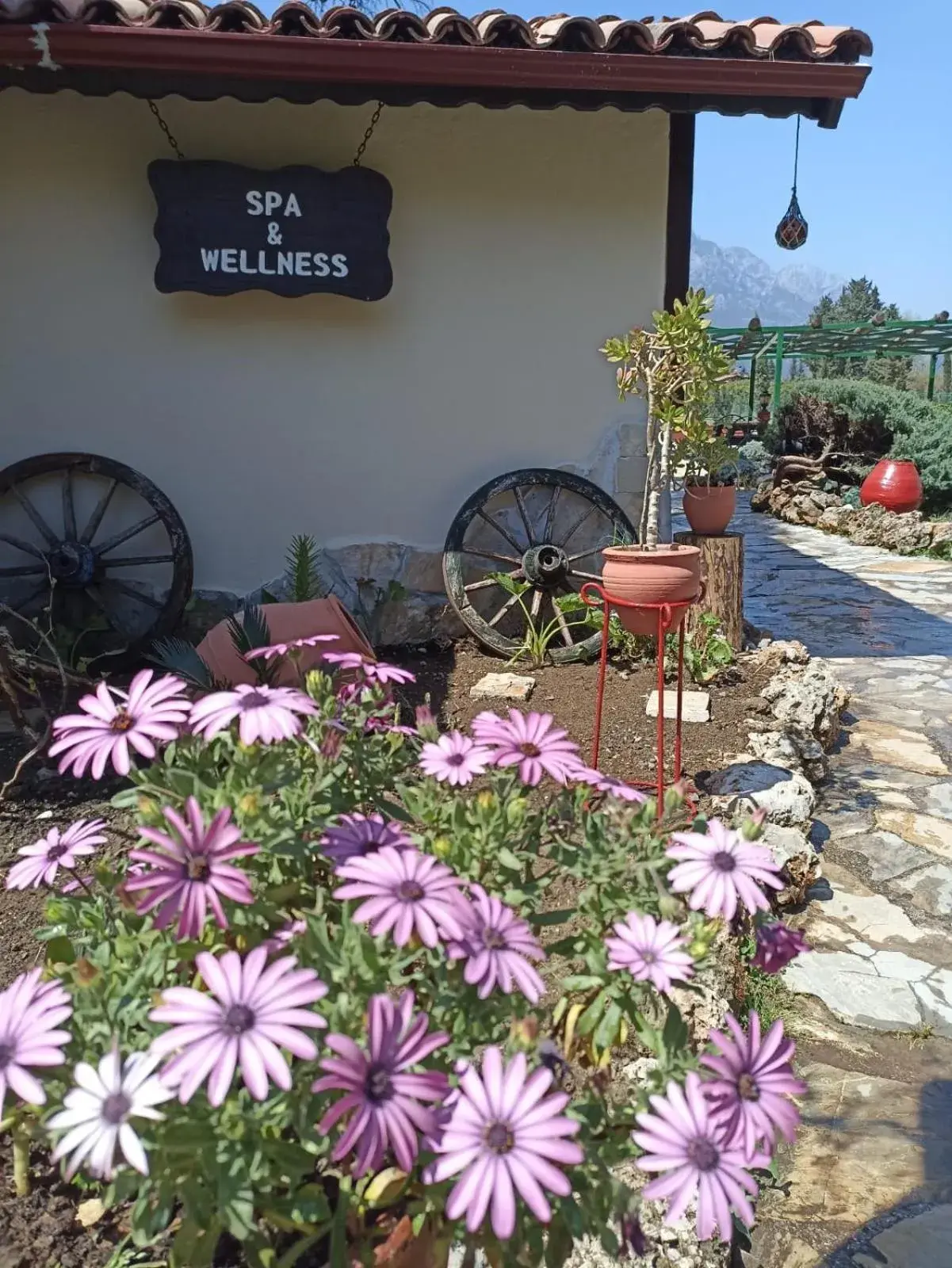 Spa and wellness centre/facilities in Hotel Berke Ranch&Nature Spa and wellness centre/facilities in Hotel Berke Ranch&Nature