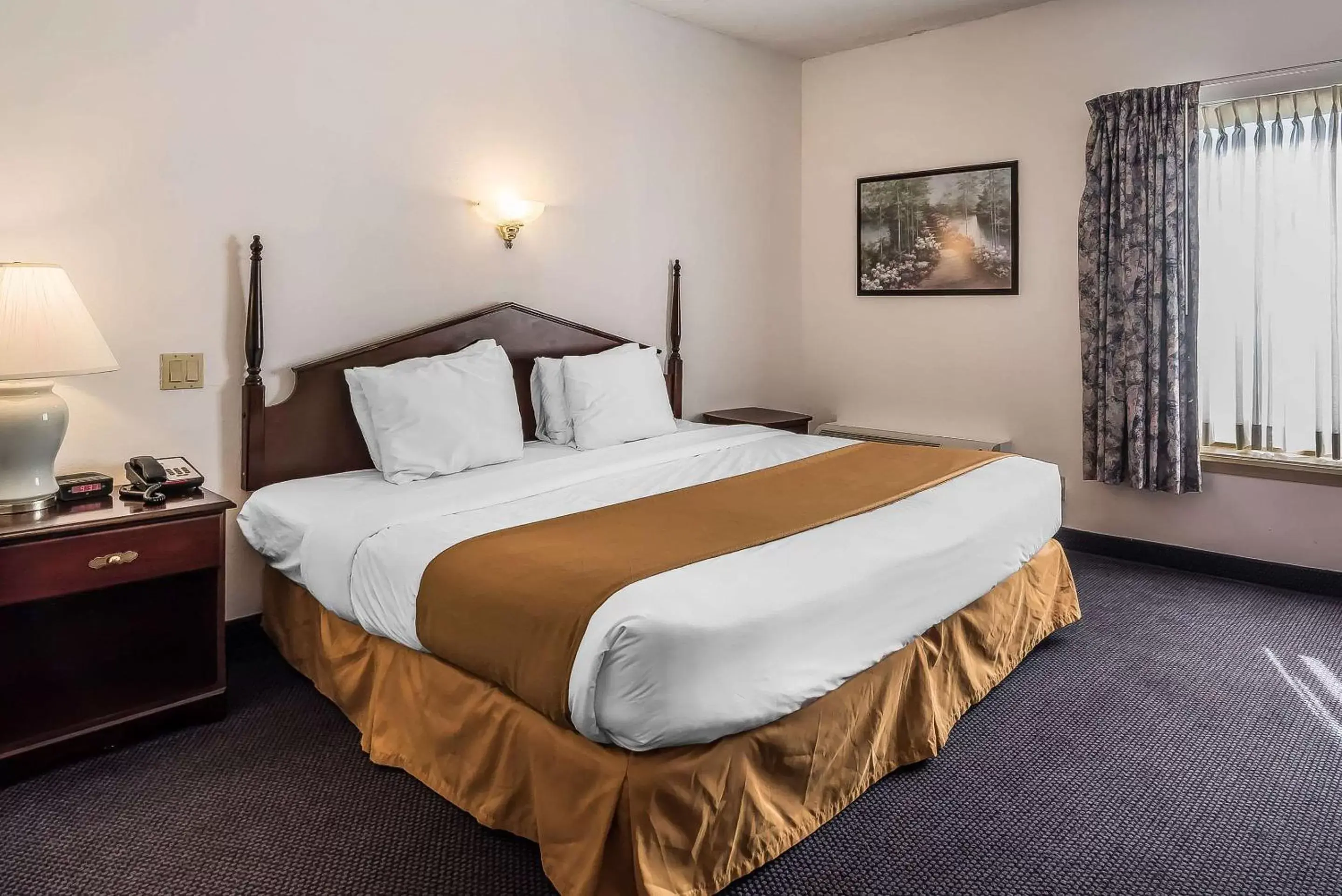 Bedroom, Bed in Quality Inn & Suites Albany Airport