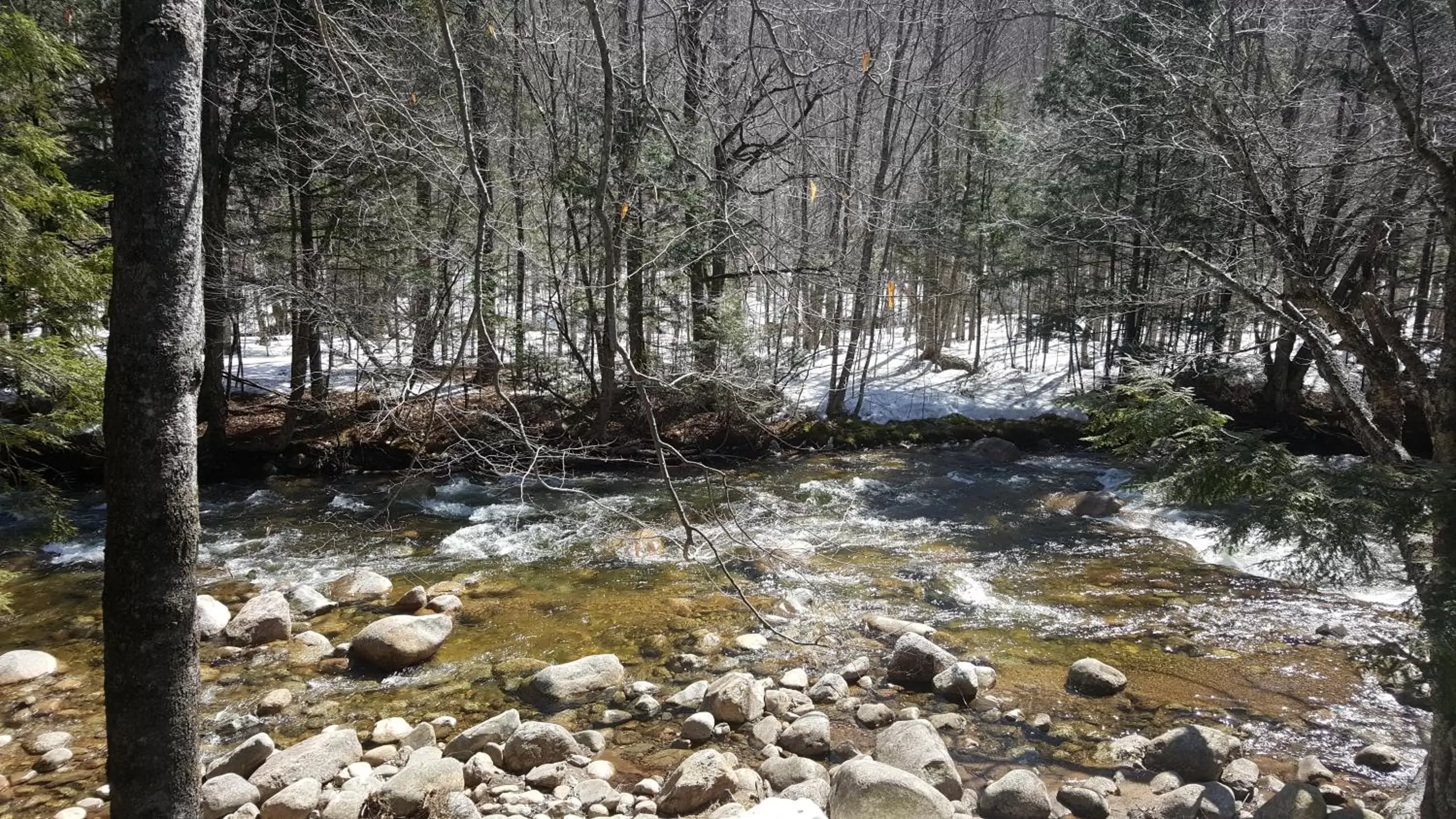 Winter in Franconia Notch Motel