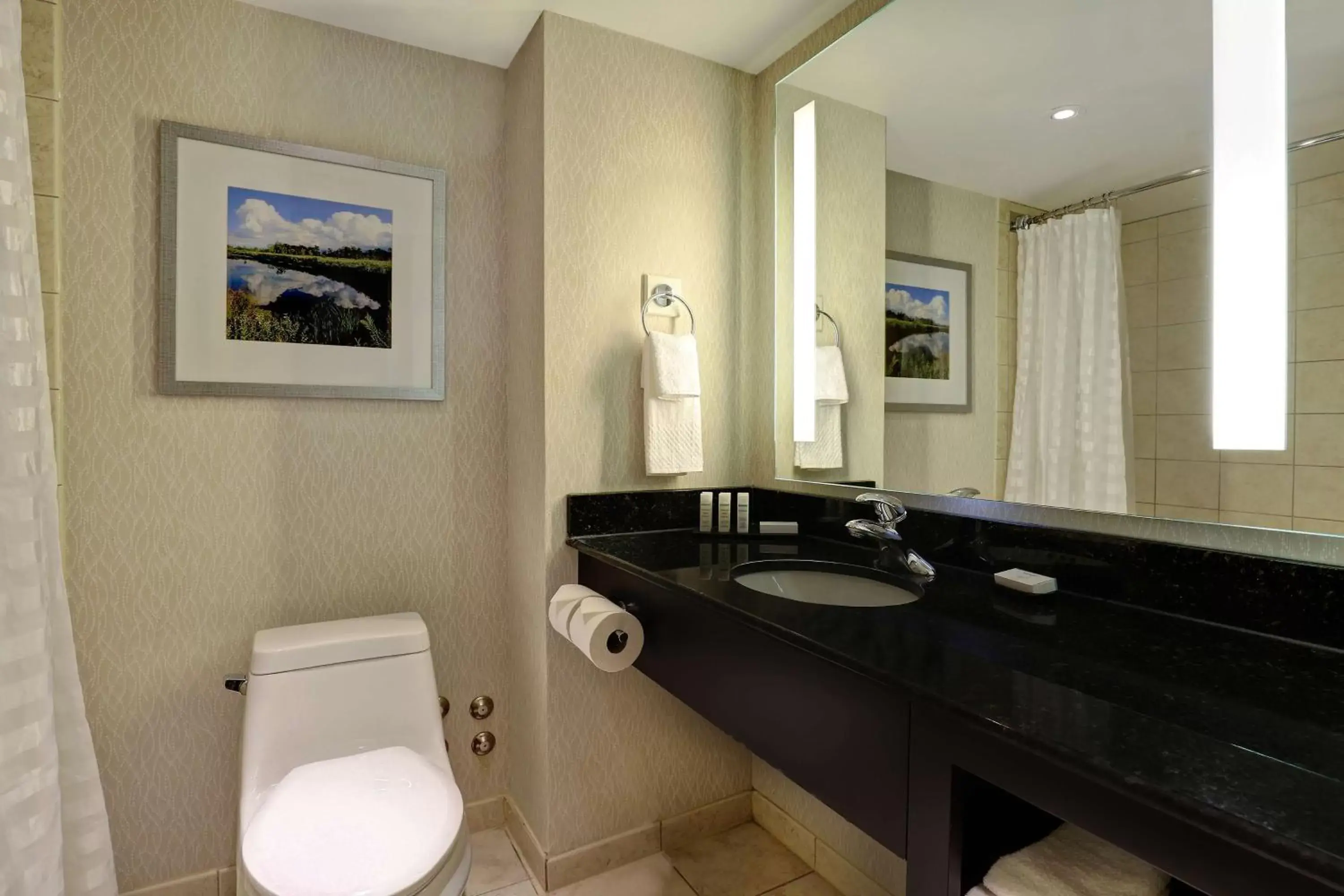 Bathroom in Embassy Suites by Hilton Niagara Falls/ Fallsview