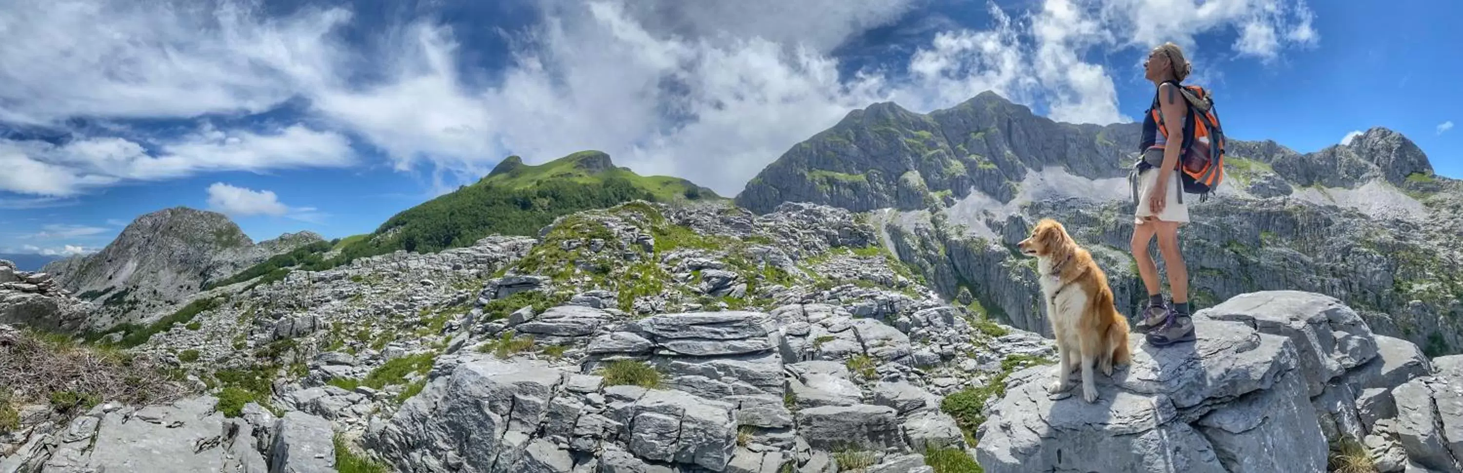 Natural Landscape in Villa Belvedere