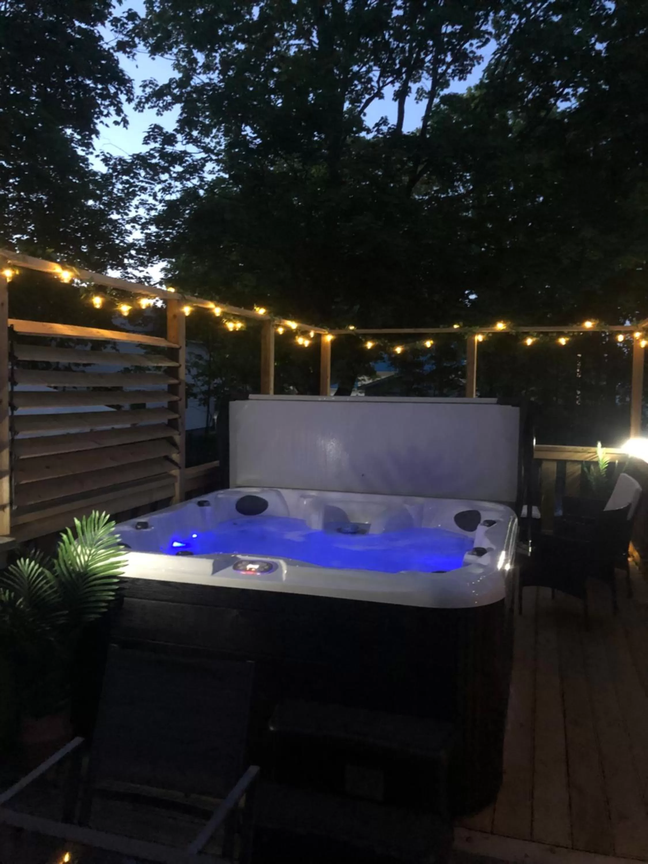 Hot Tub, Swimming Pool in Pleasant Street Inn