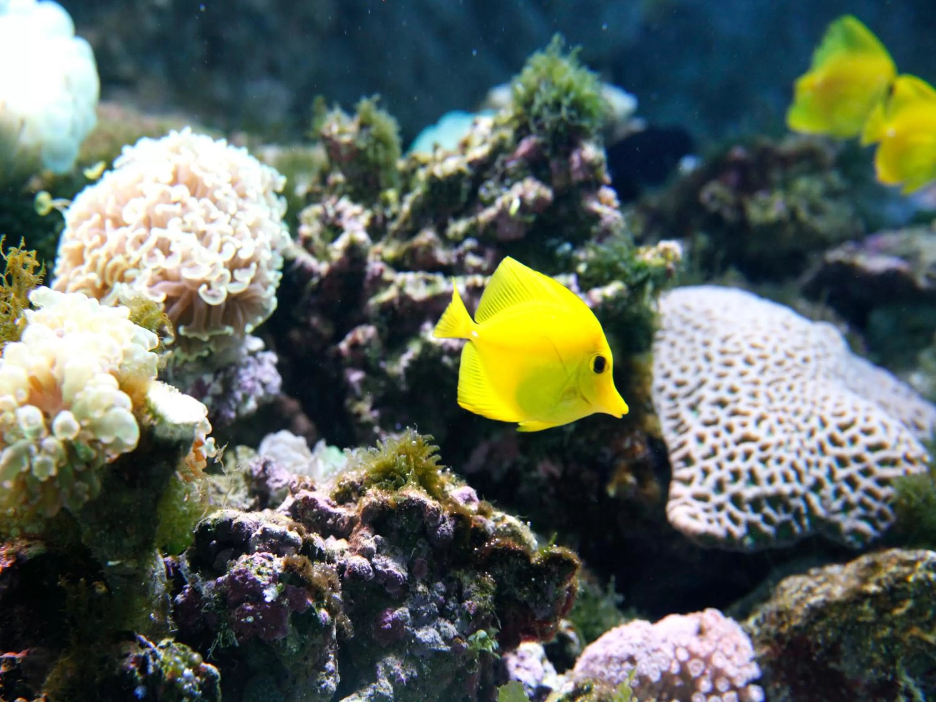 Nearby landmark in Hotel Wing International Select Osaka Umeda