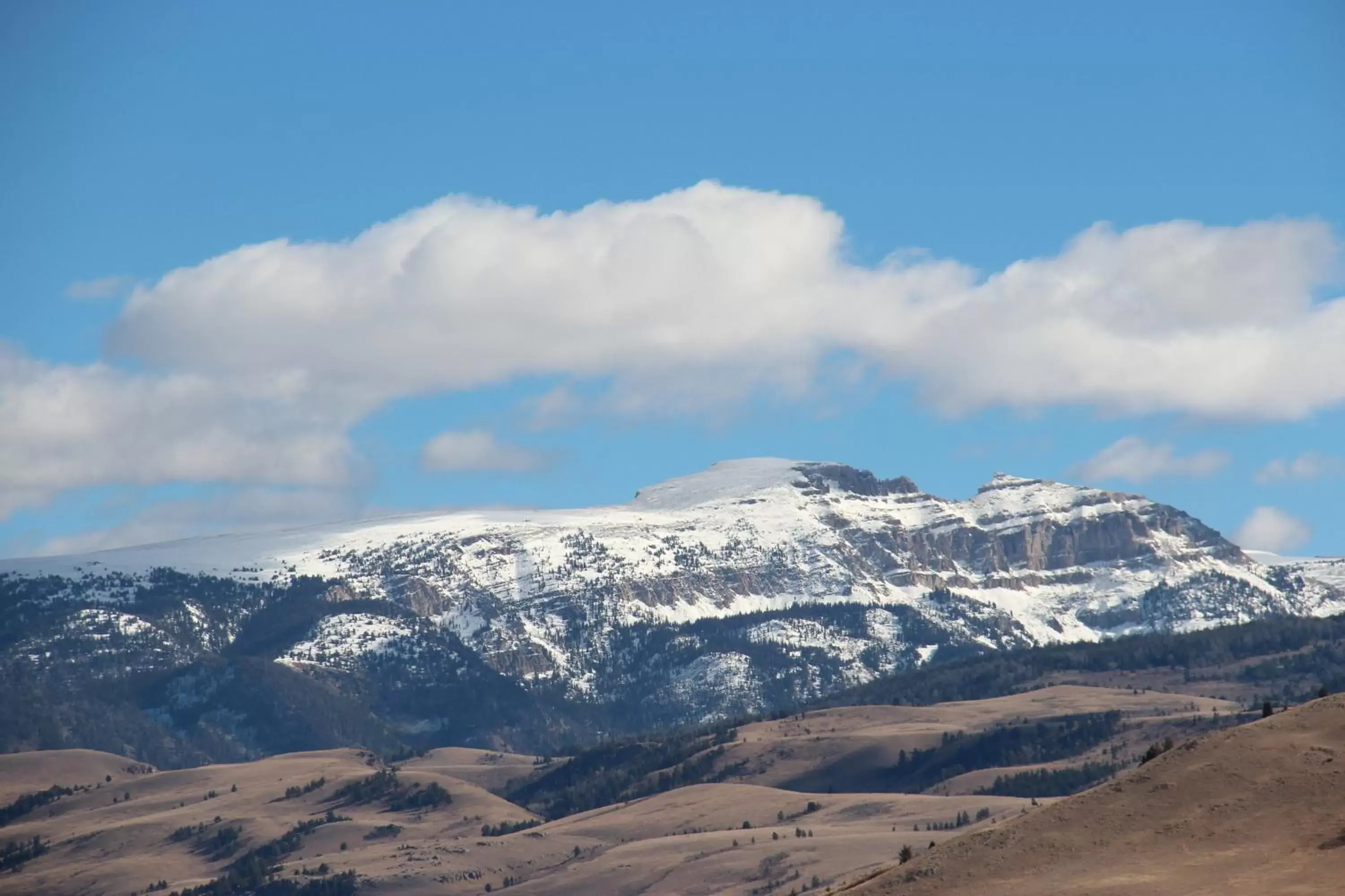 Area and facilities, Winter in Flat Creek Inn