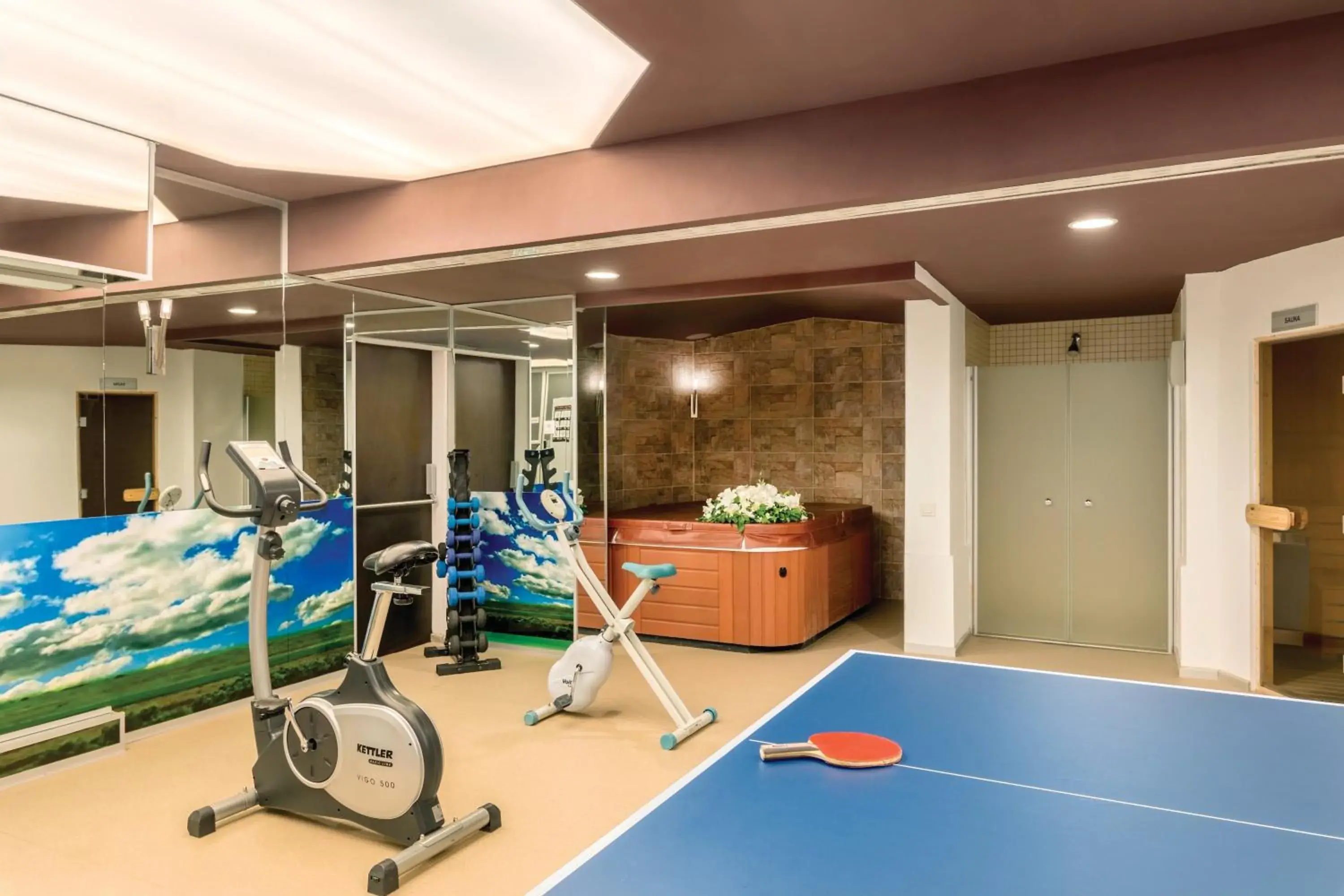Table tennis, Fitness Center/Facilities in Ramada Ankara