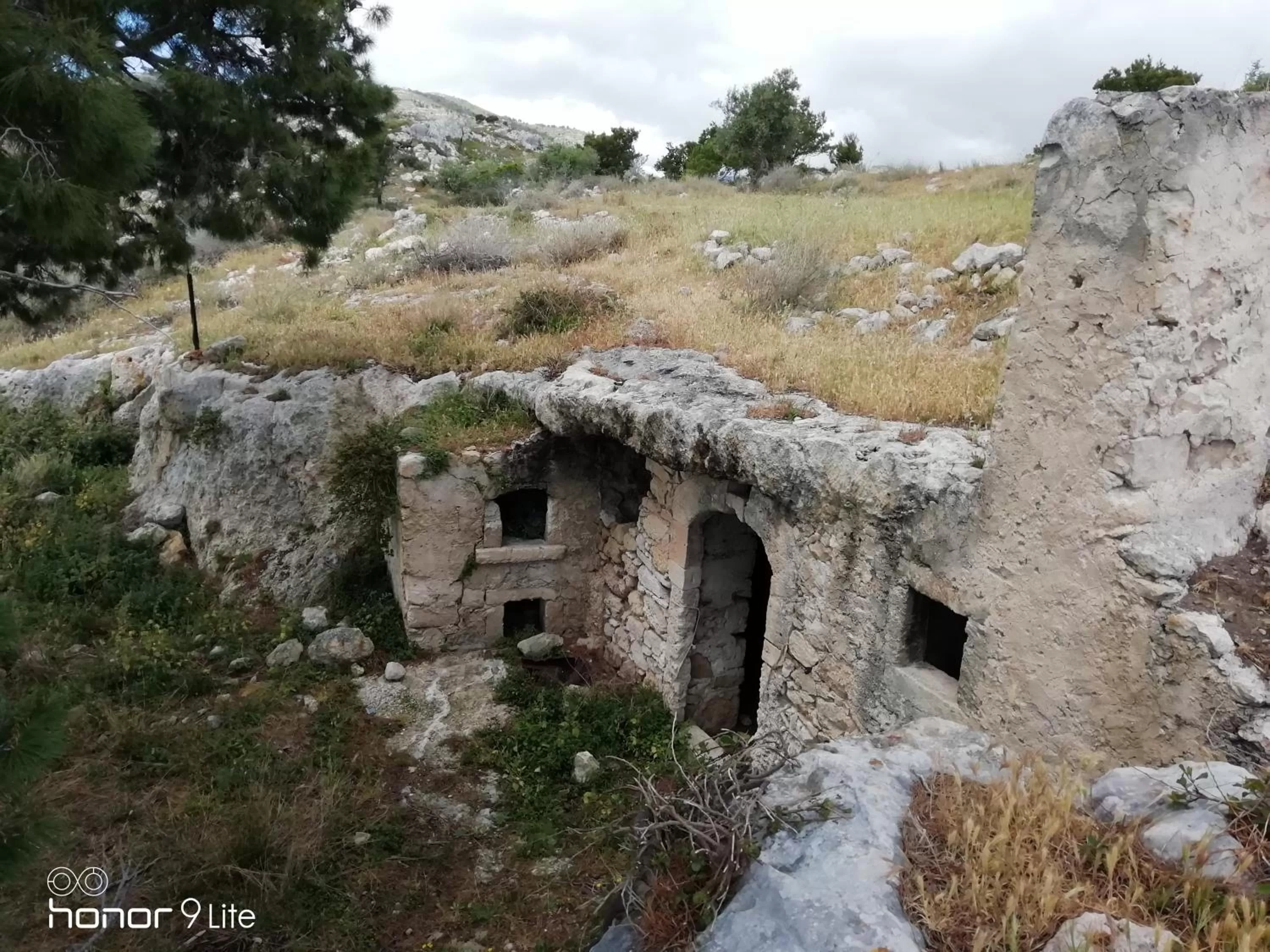 Restaurant/places to eat in Villa Biancofiore